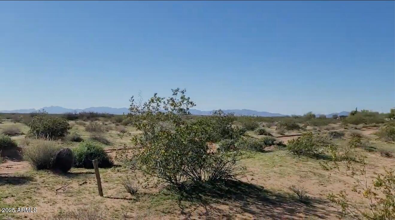 1-acre Tamarisk Road, Unit 328 Dateland, AZ 85333 - Photo 9 of 11 a view of a dry yard with trees