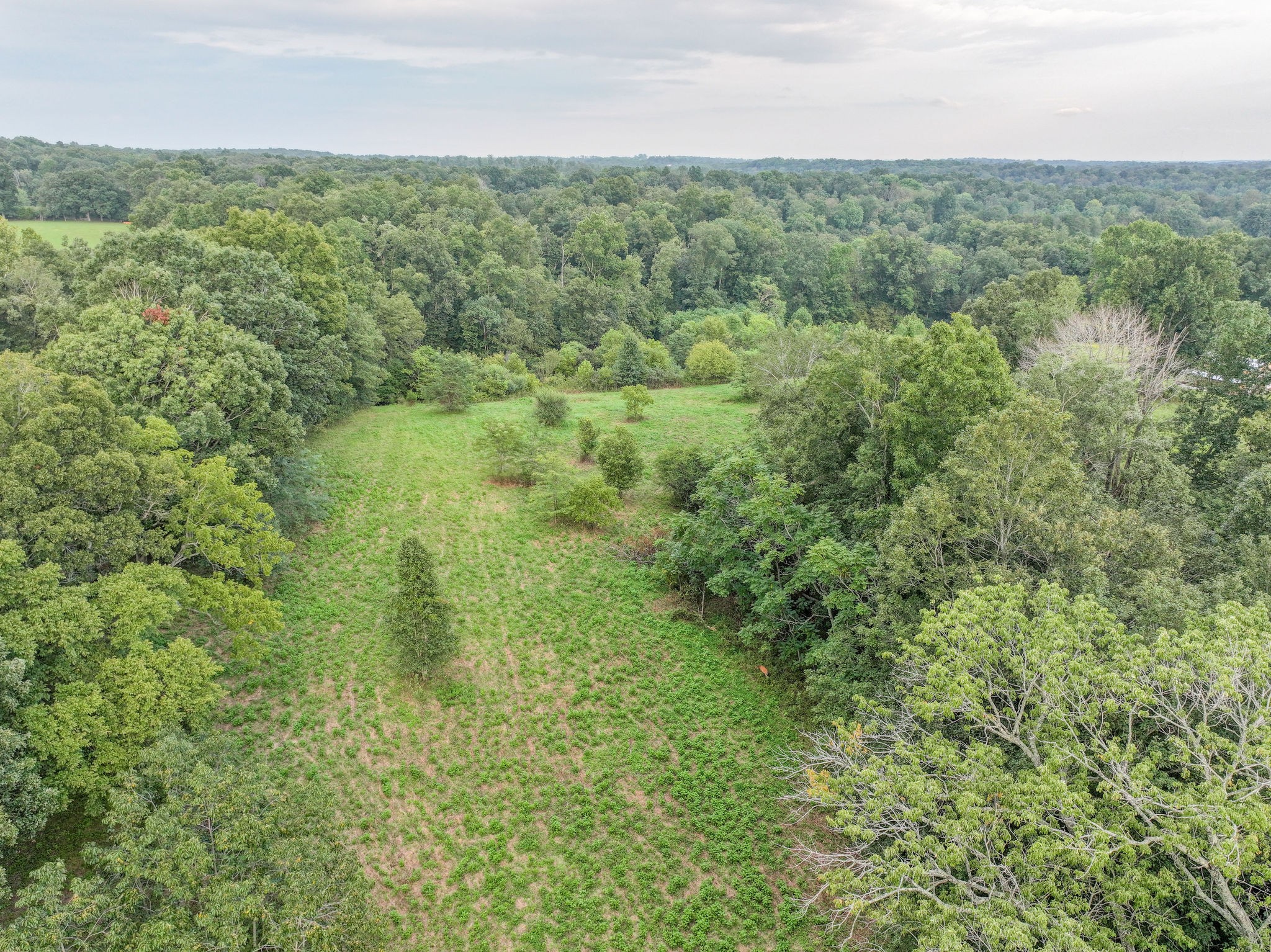 0 South Eno Road Dickson, TN 37055 - Photo 2 of 7 a view of a field of grass and trees