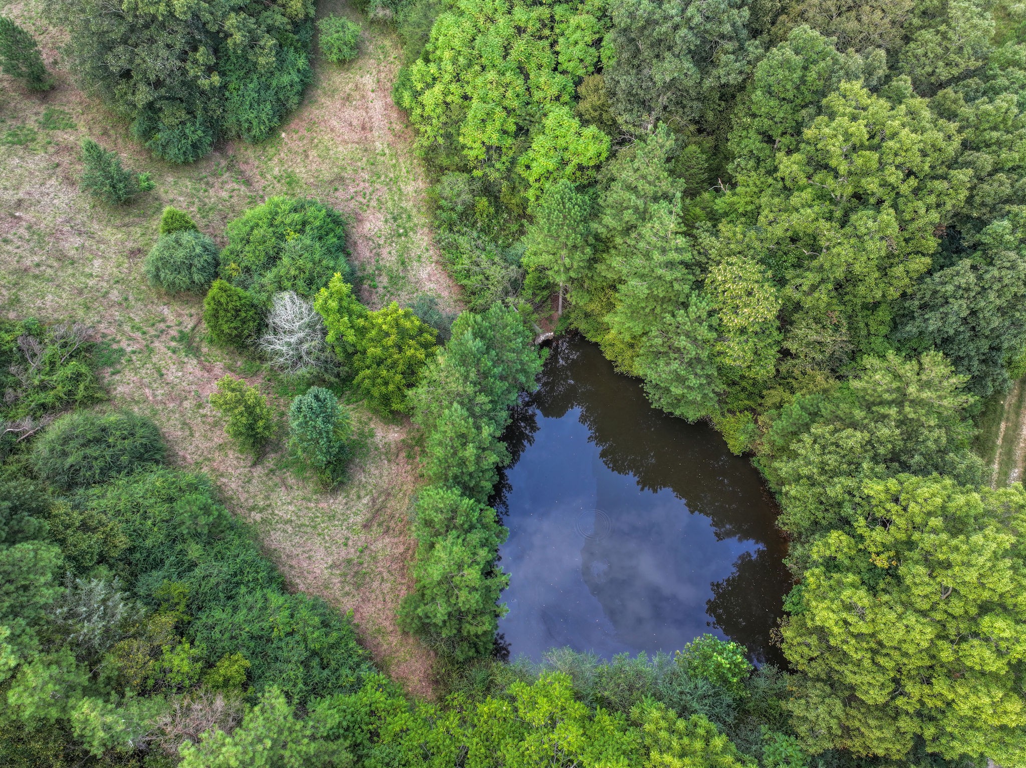 0 South Eno Road Dickson, TN 37055 - Photo 3 of 7 an aerial view of a yard