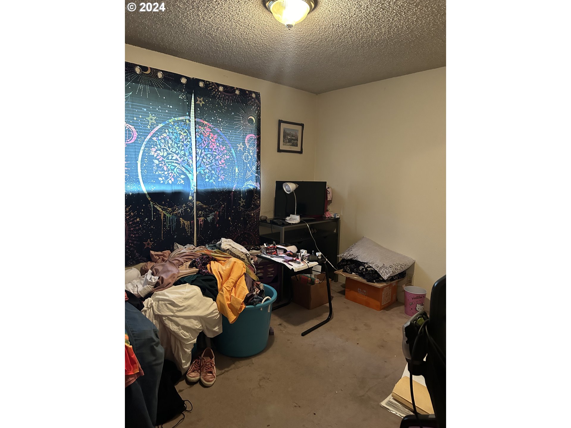 4807 Daisy Street Springfield, OR 97478 - Photo 11 of 12 a room with furniture and a potted plant
