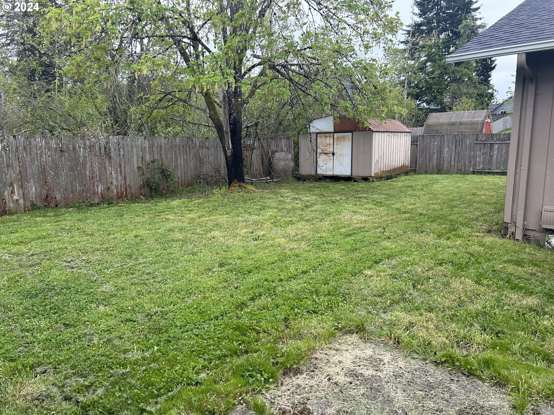 4807 Daisy Street Springfield, OR 97478 - Photo 3 of 12 a view of a backyard with a small cabin and wooden fence