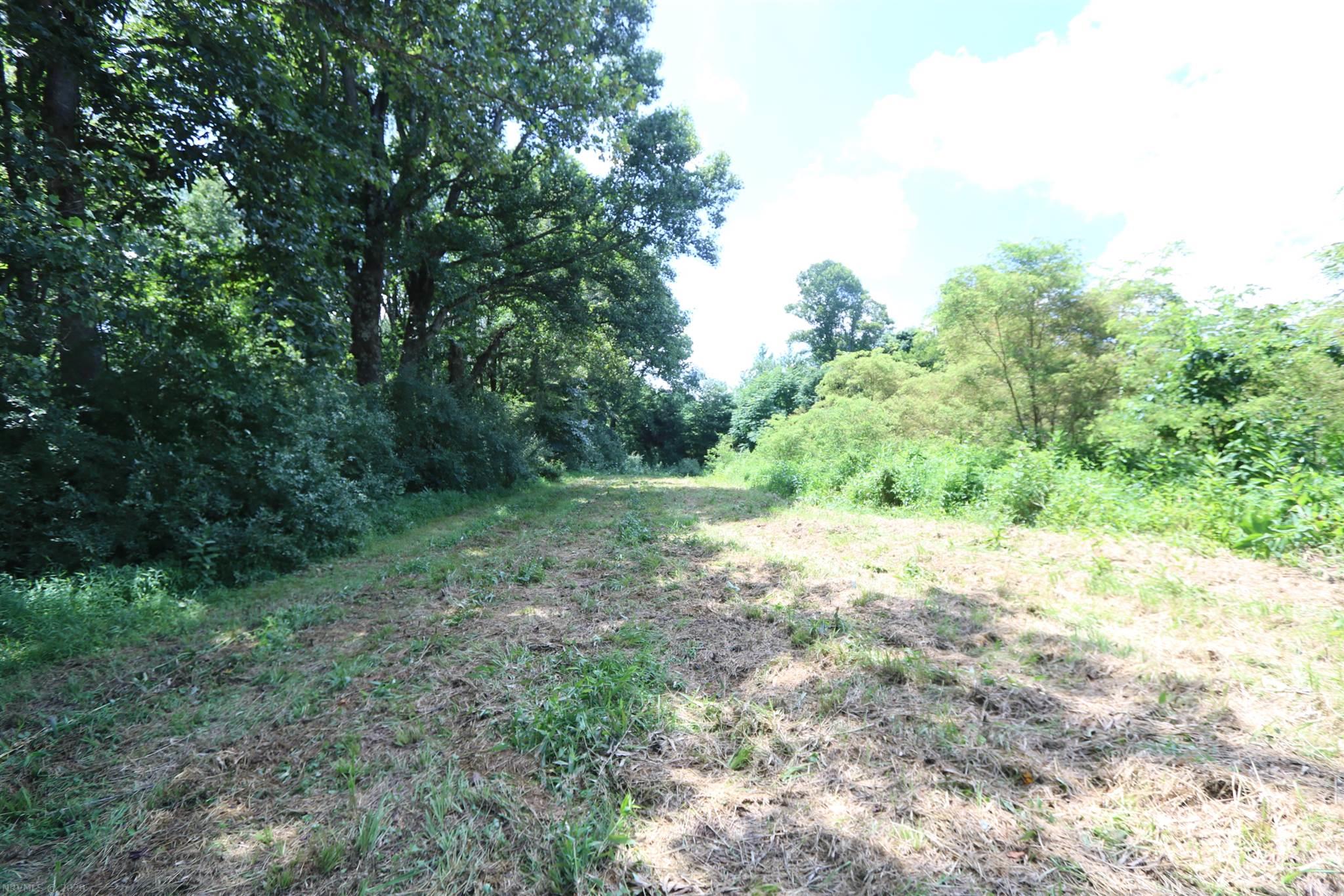 2201 Black Ridge Road Southwest Floyd, VA 24091 - Photo 16 of 22 Gallery Image 16