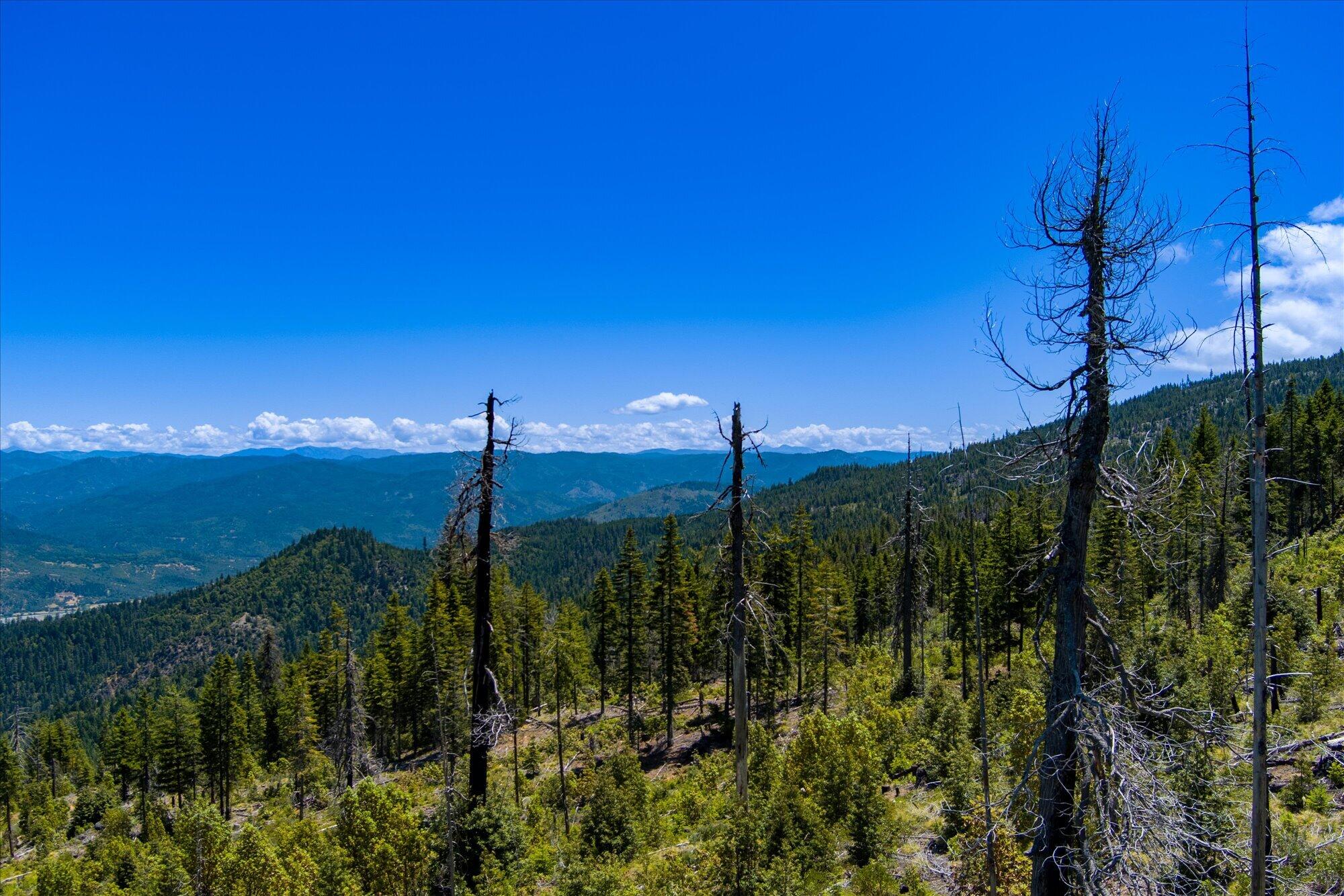 0 Forest Rte 4N20 Road Hayfork, CA 96041 - Photo 17 of 22