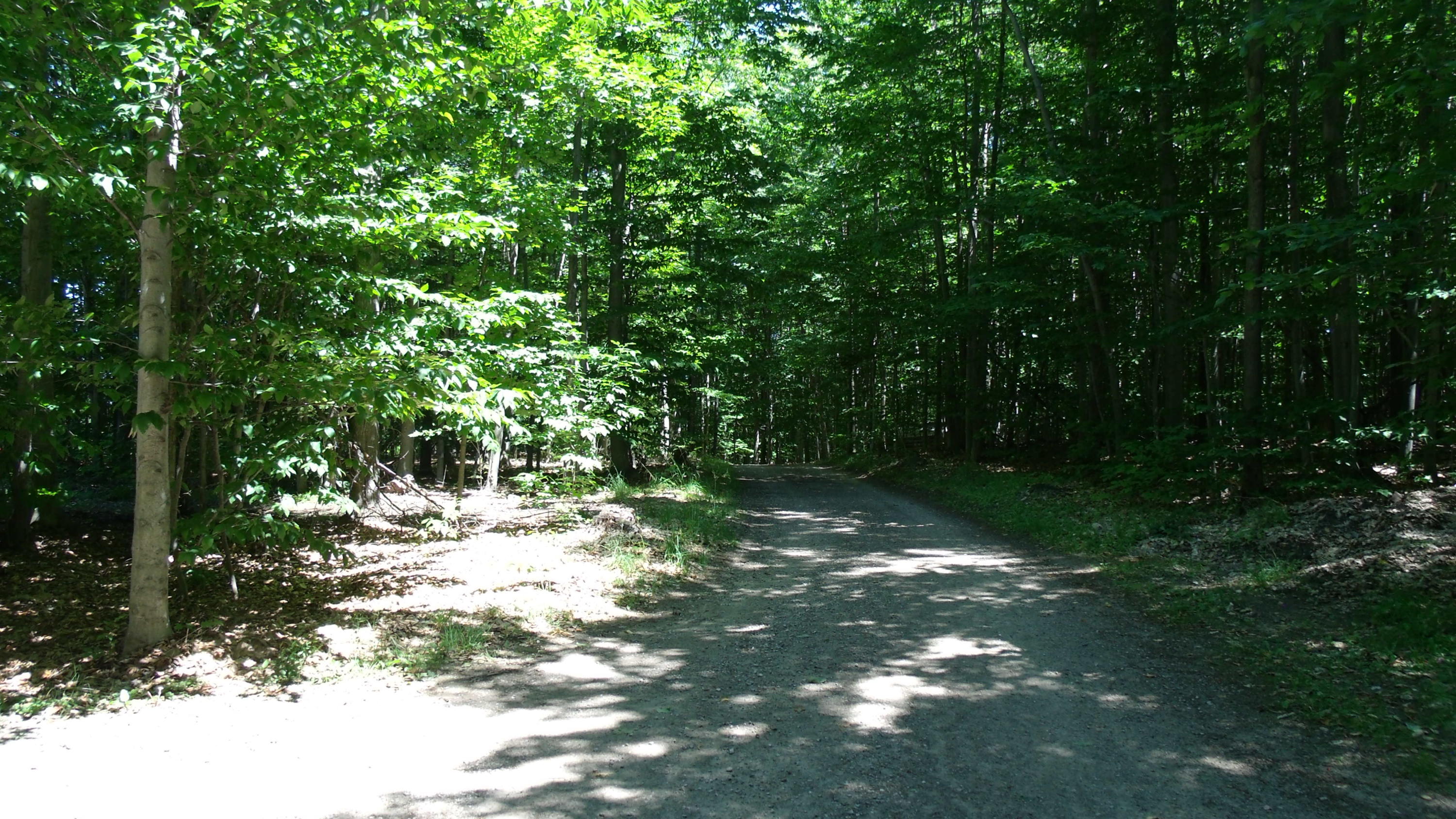 7075 White Road Indian River, MI 49749 - Photo 47 of 71 Gallery Image 47