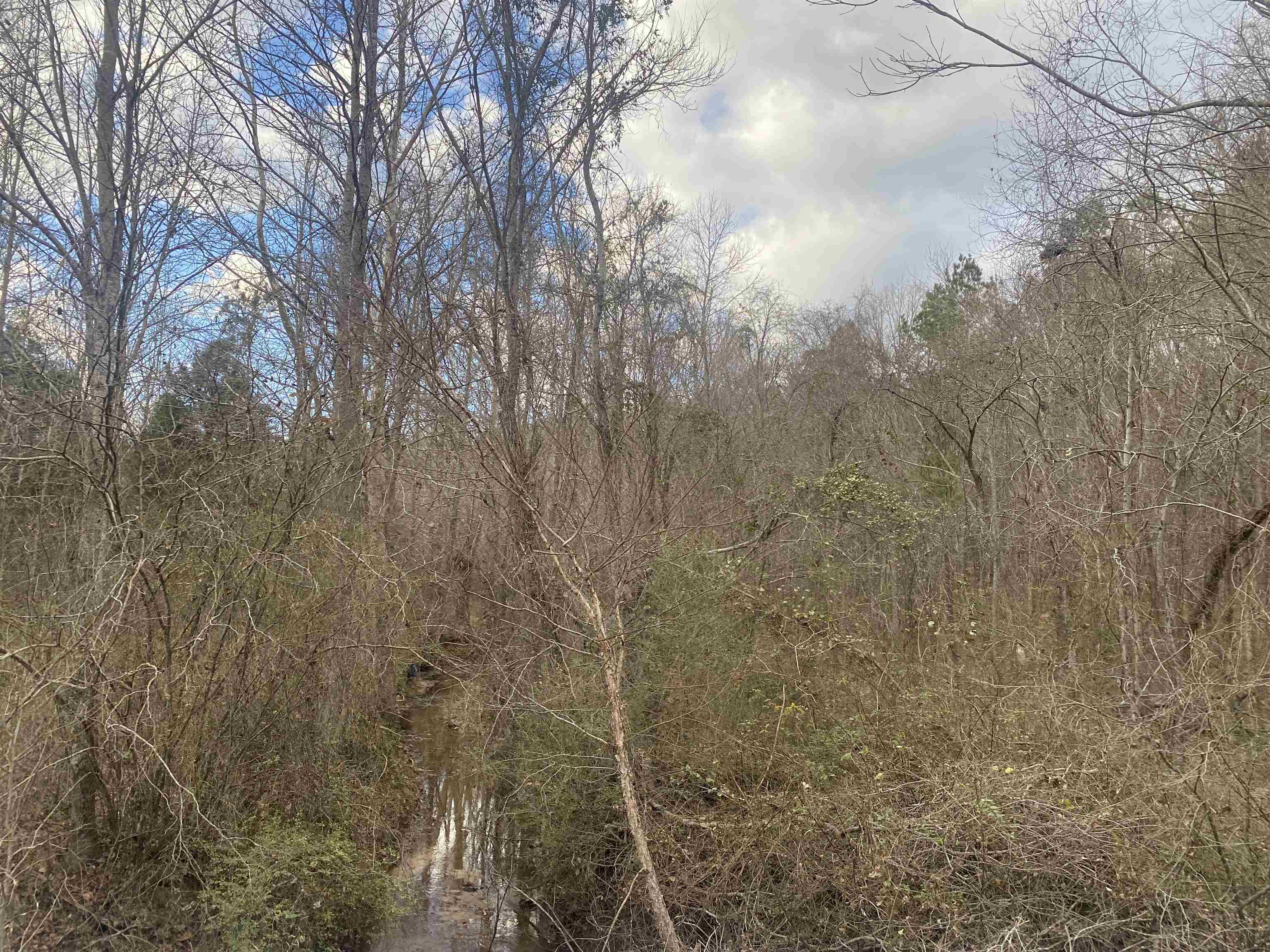 8 Rose Creek Road Selmer, TN 38375 - Photo 1 of 11