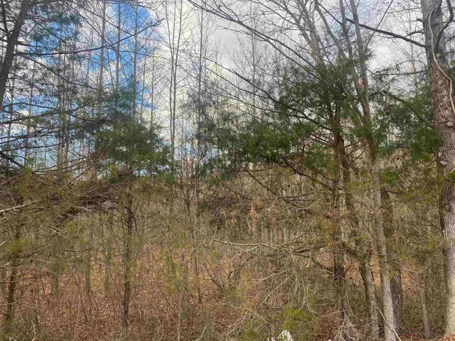 $49,999 | 8 Rose Creek Road, Selmer, TN 38375