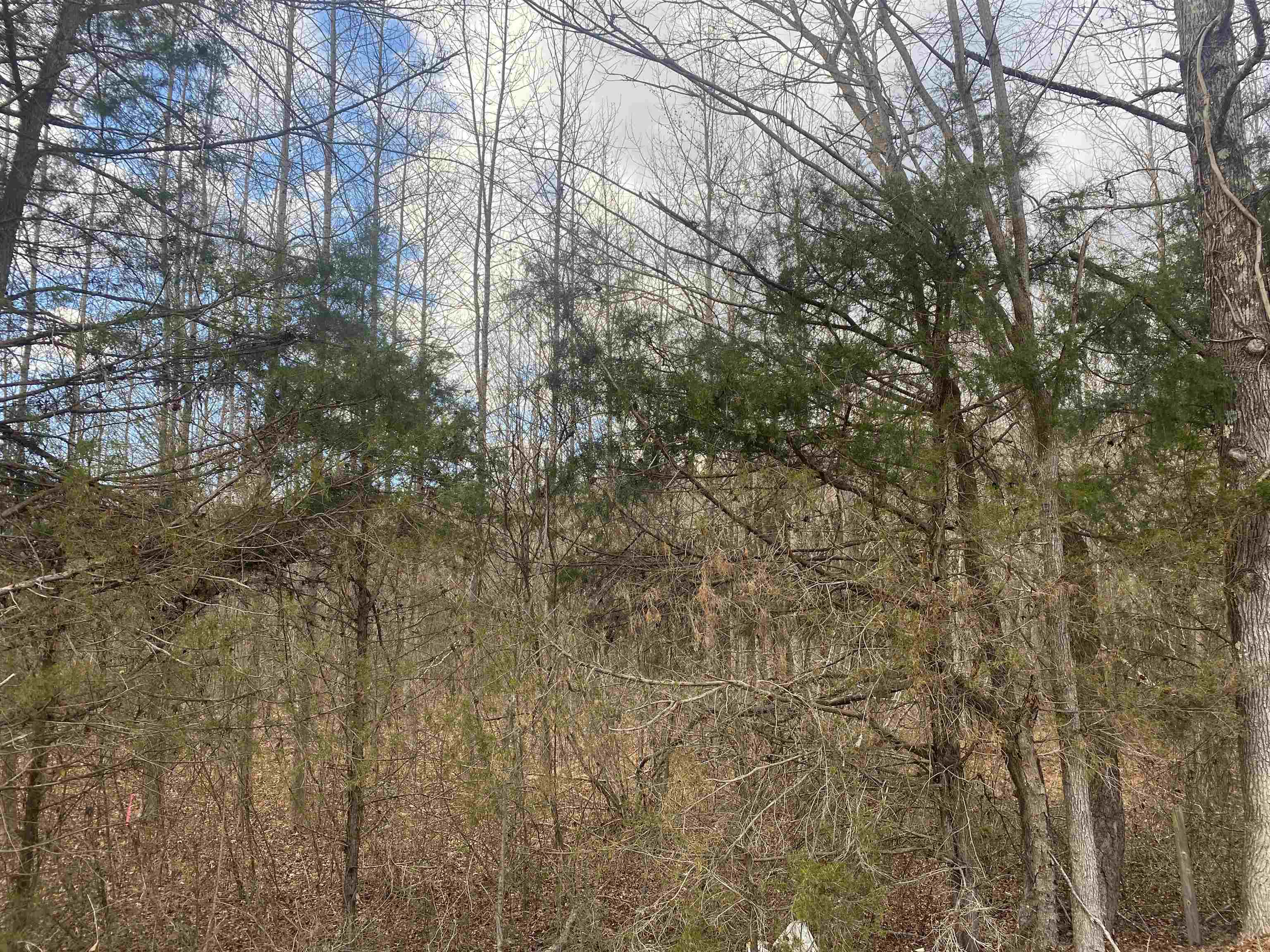 8 Rose Creek Road Selmer, TN 38375 - Photo 3 of 11