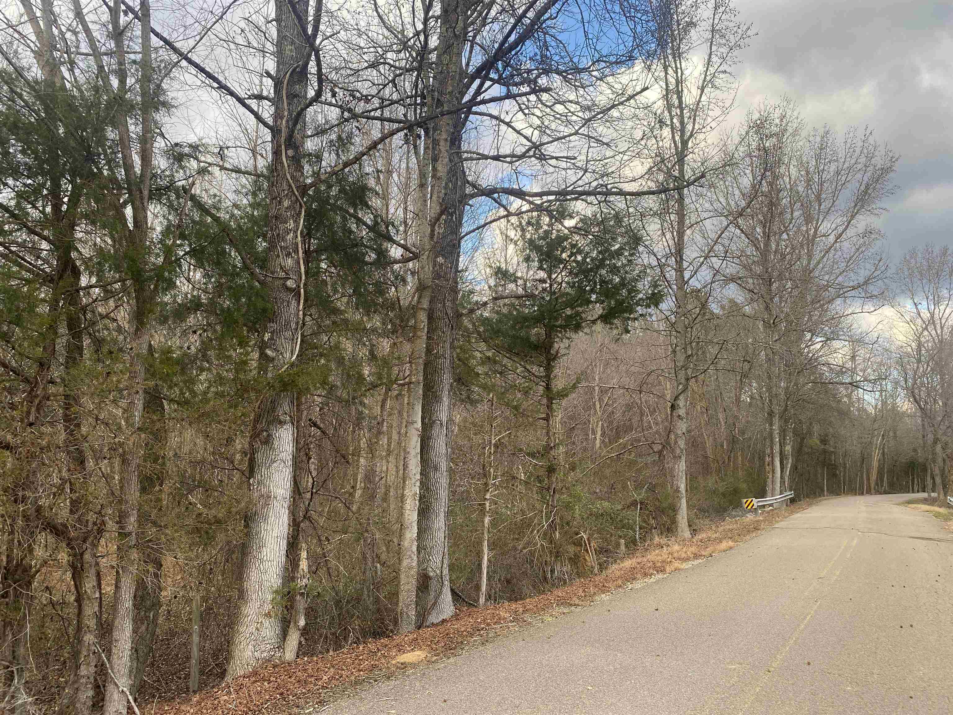 8 Rose Creek Road Selmer, TN 38375 - Photo 4 of 11