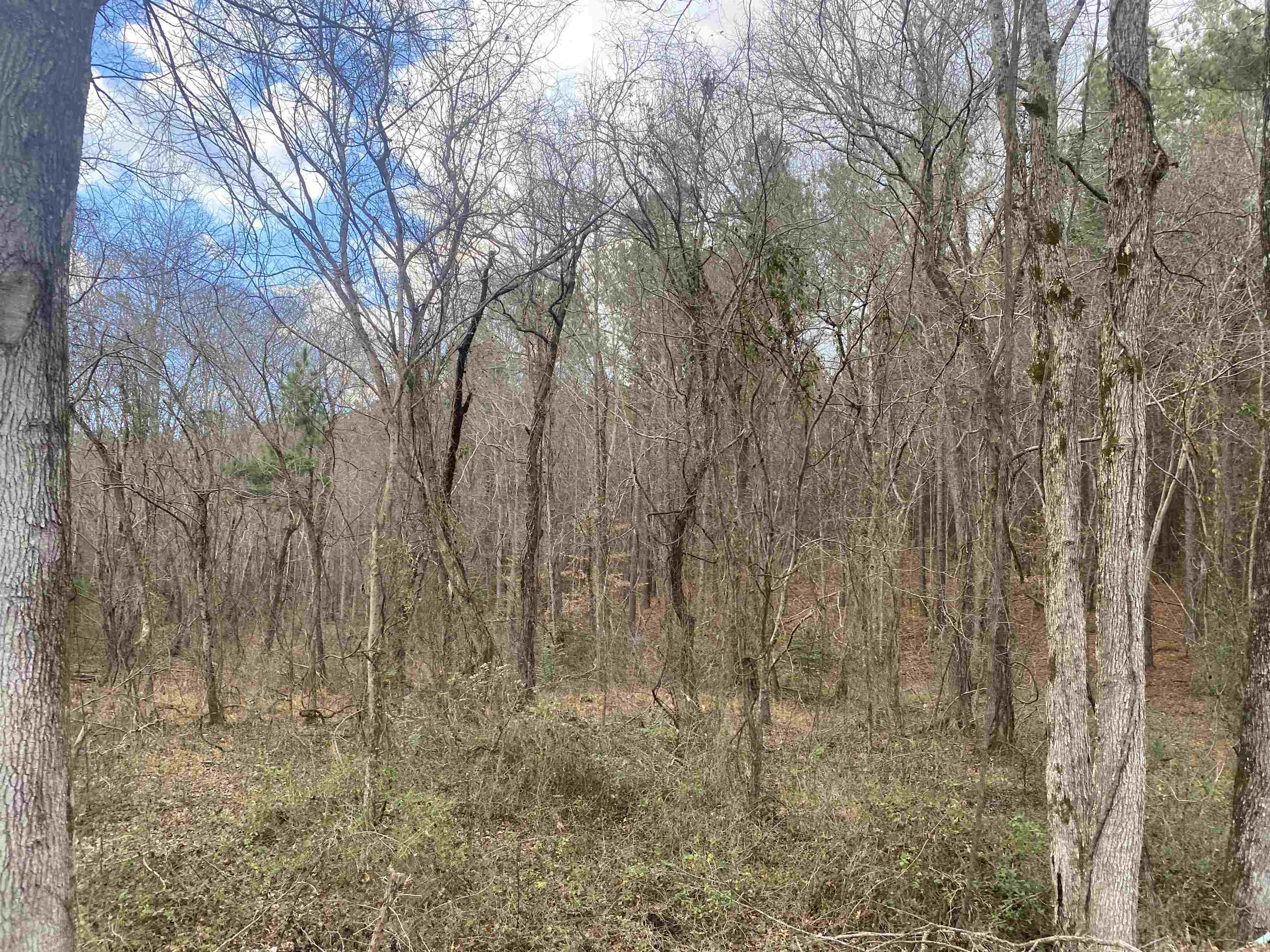 8 Rose Creek Road Selmer, TN 38375 - Photo 6 of 11