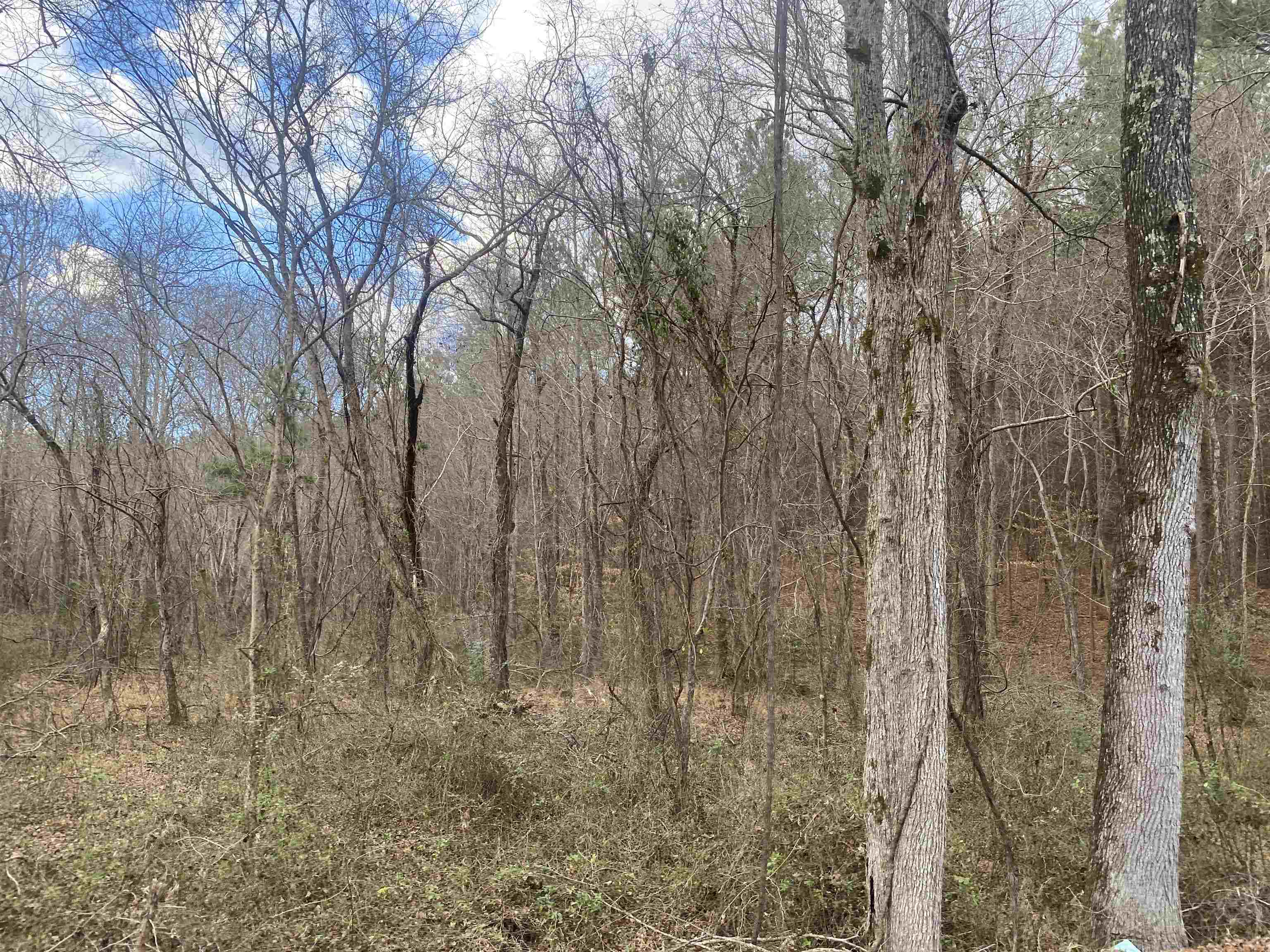 8 Rose Creek Road Selmer, TN 38375 - Photo 7 of 11