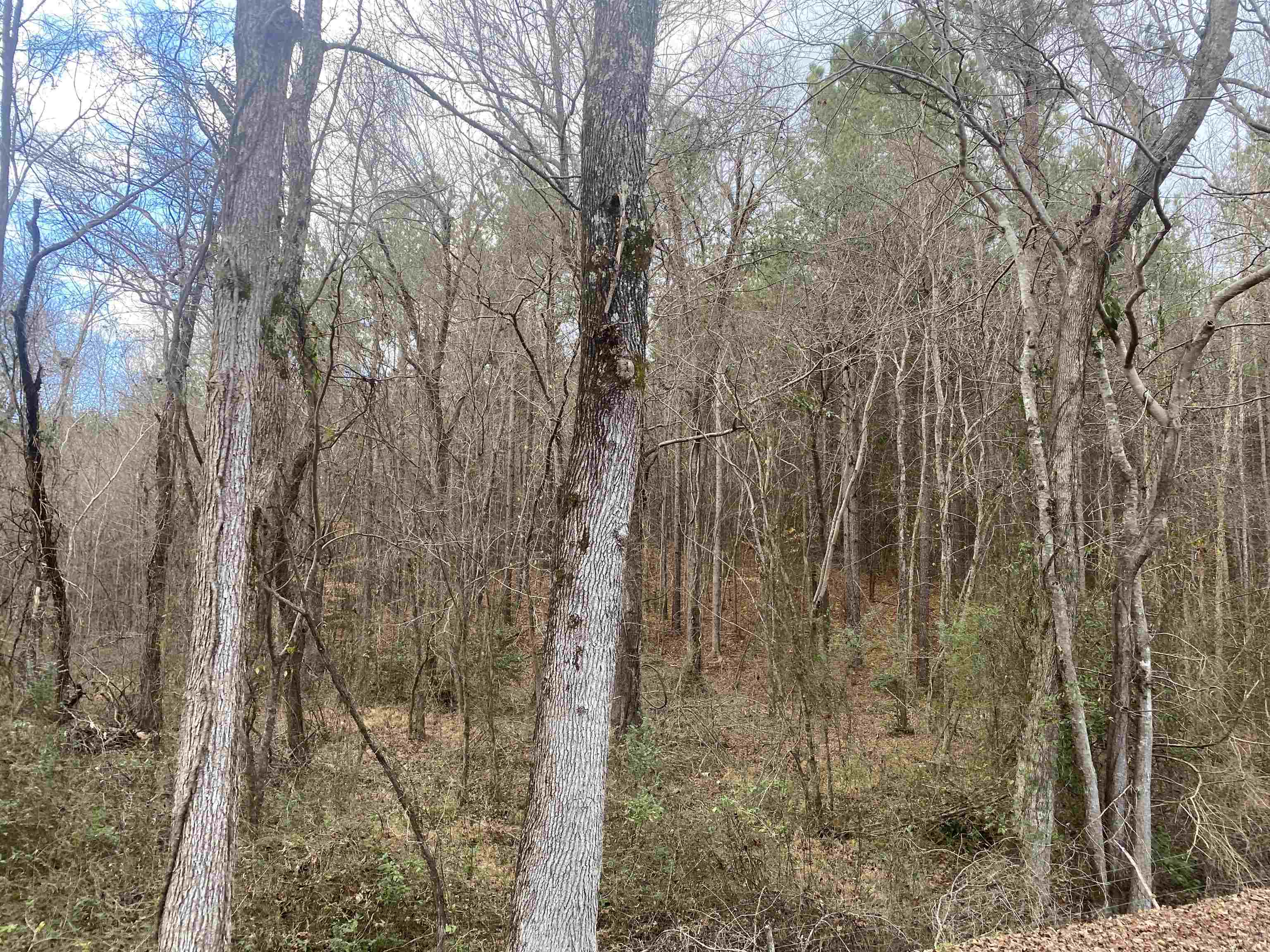 8 Rose Creek Road Selmer, TN 38375 - Photo 8 of 11