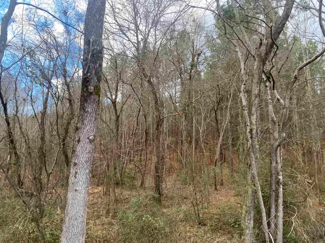 $49,999 | 8 Rose Creek Road, Selmer, TN 38375