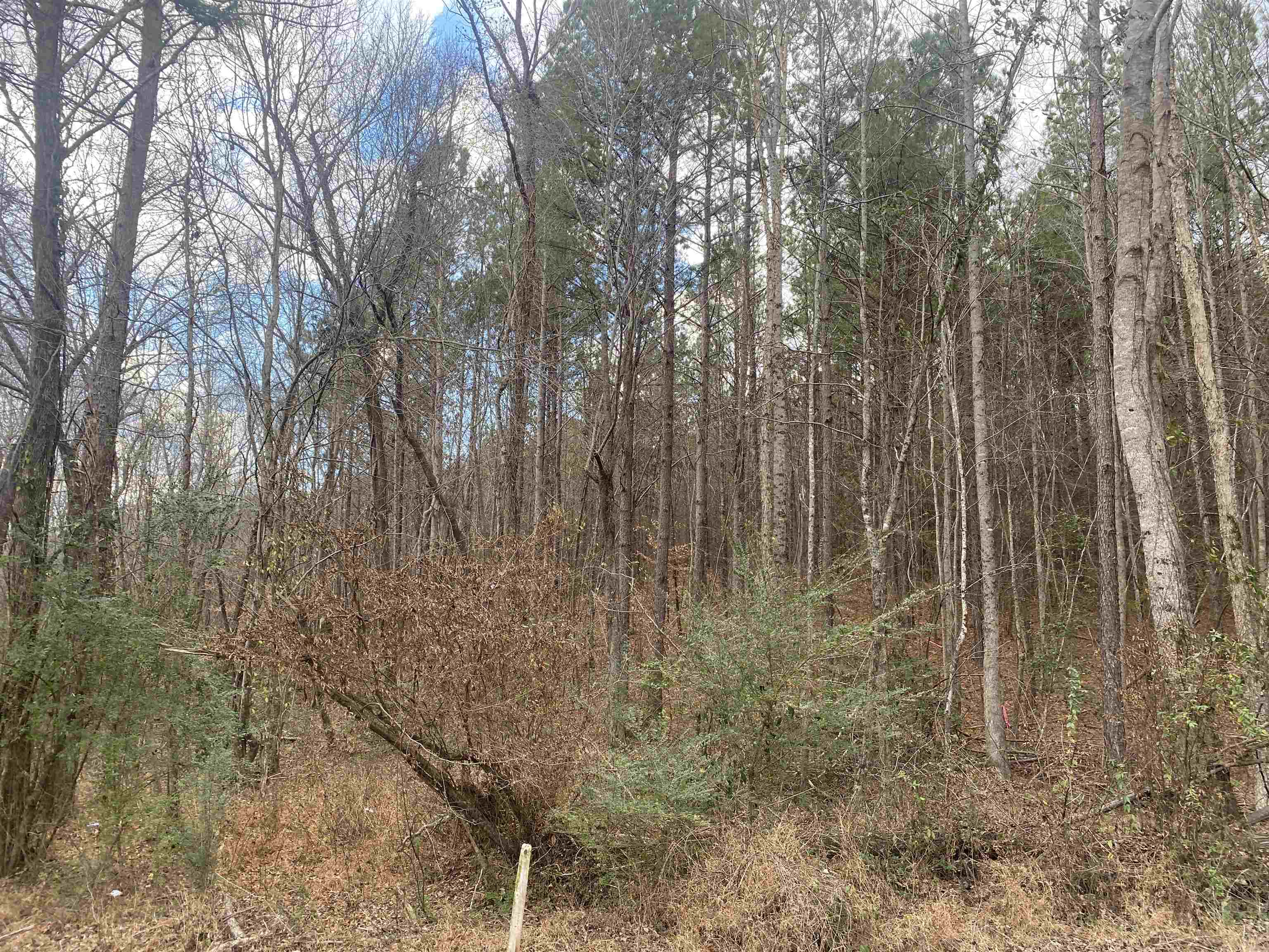 8 Rose Creek Road Selmer, TN 38375 - Photo 10 of 11