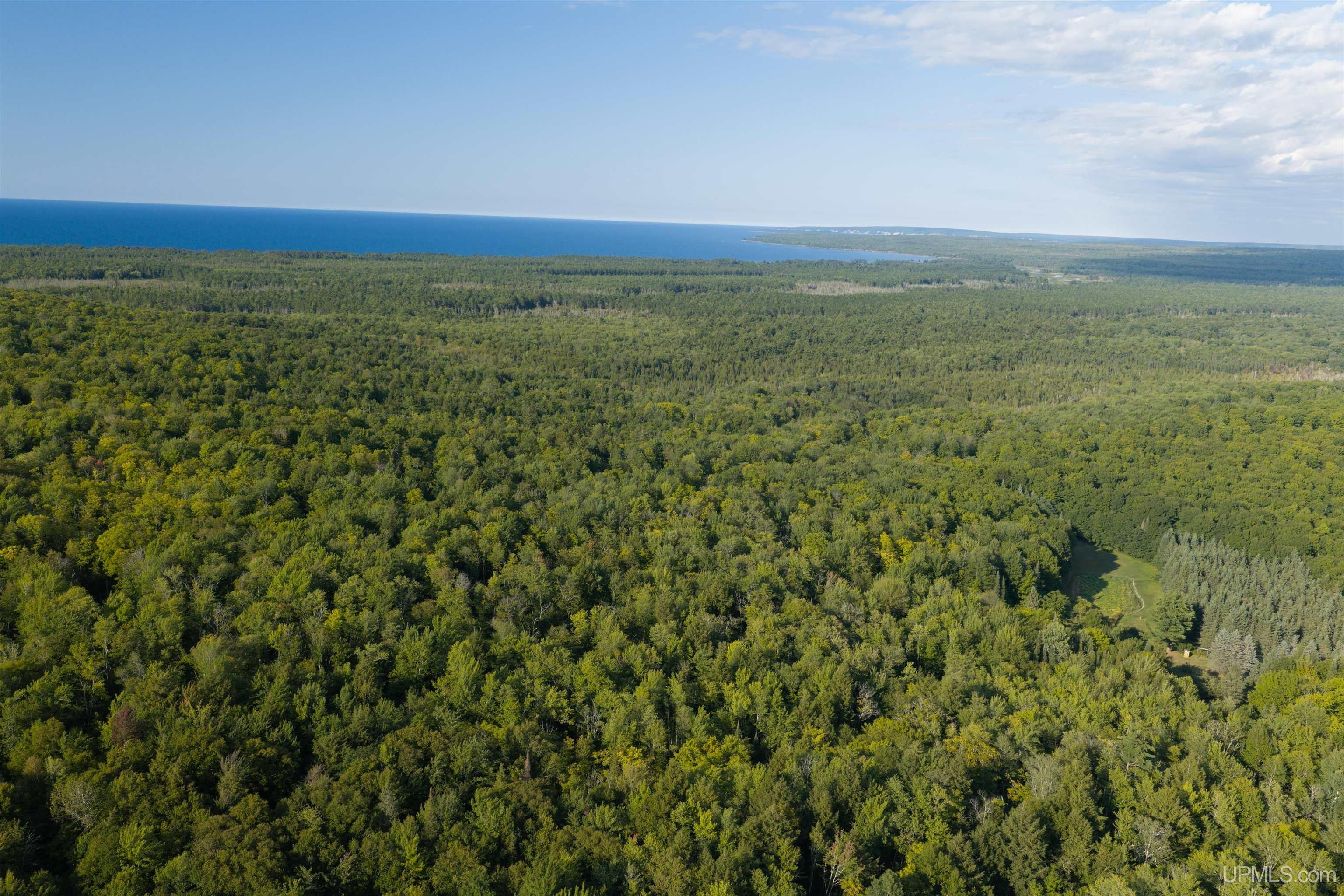 40 Acres Martin Road Au Train, MI 49806 - Photo 11 of 13 Gallery Image 11
