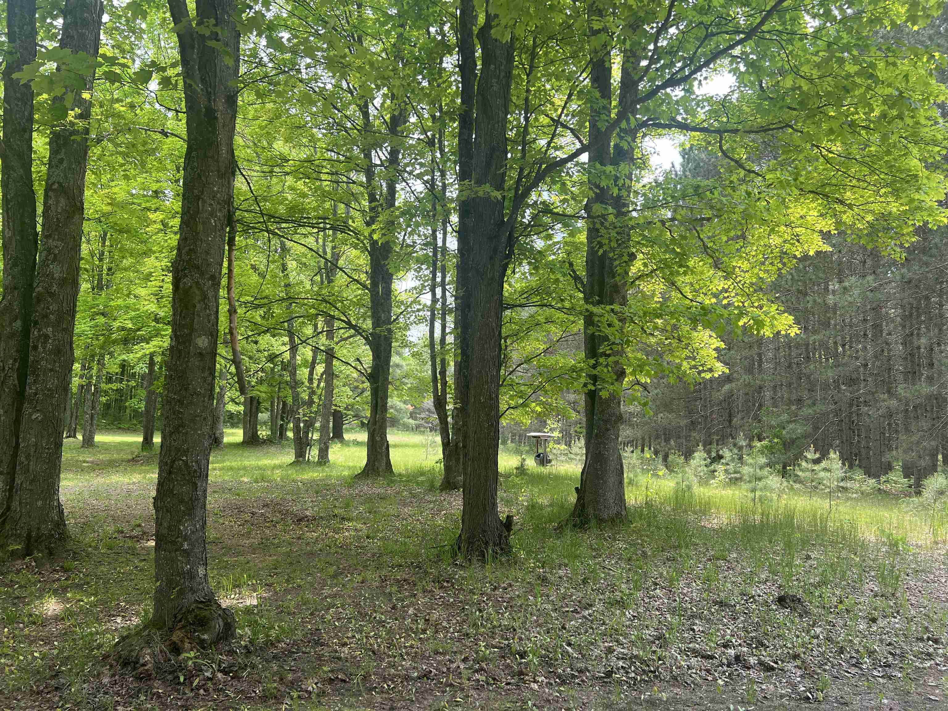 135 Montgomery Road Southwest South Boardman, MI 49680 - Photo 58 of 59