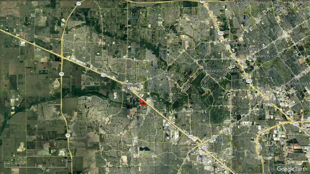 a picture of a tree in a forest