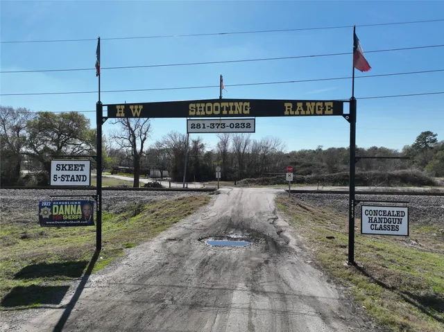 a view of a tree in a forest