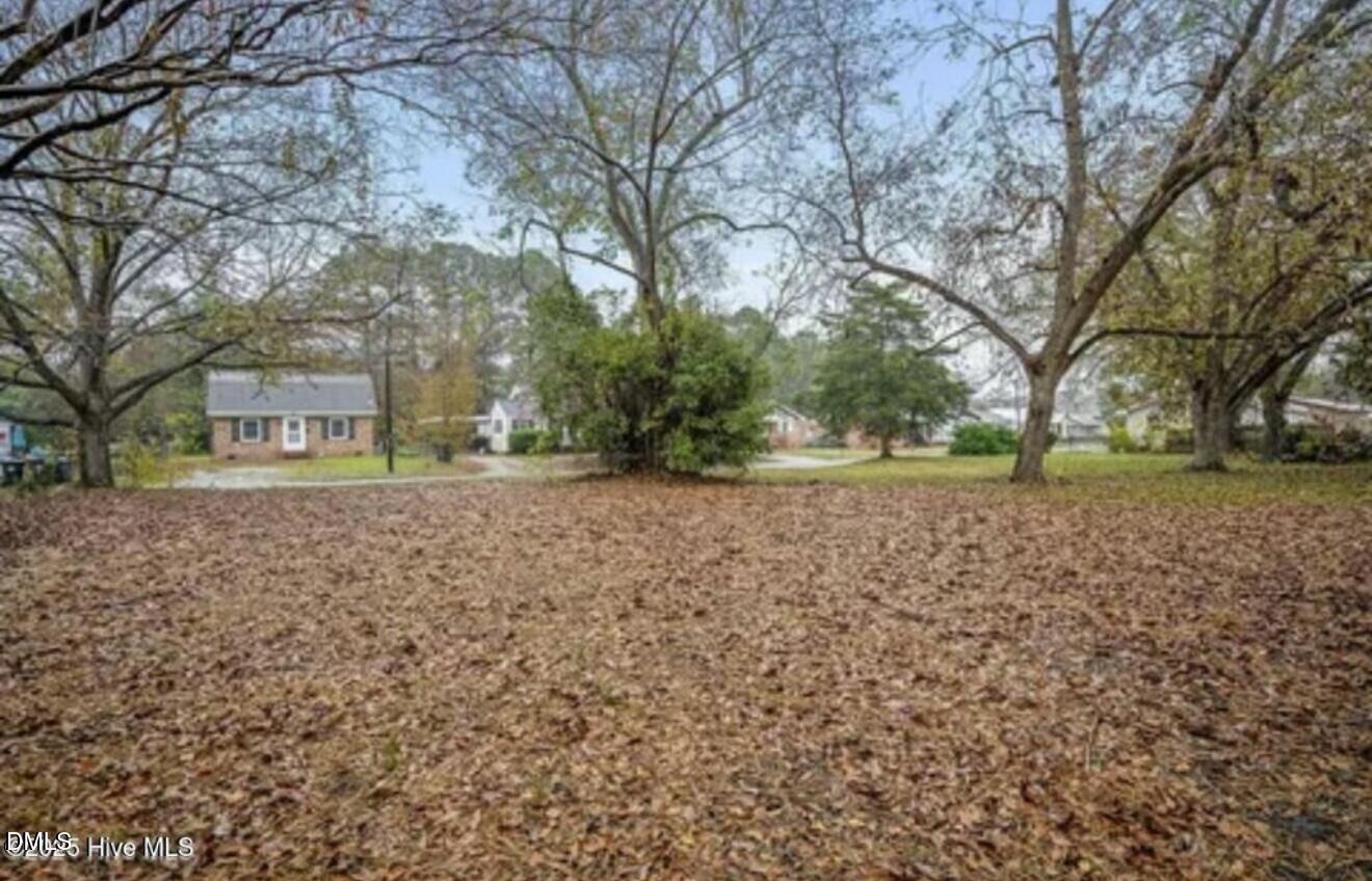 1220 West Blackman Road Dunn, NC 28334 - Photo 21 of 22 IMG_5856