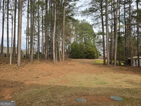 $2,300 | 4317 Caney Fork Circle, Braselton, GA 30517