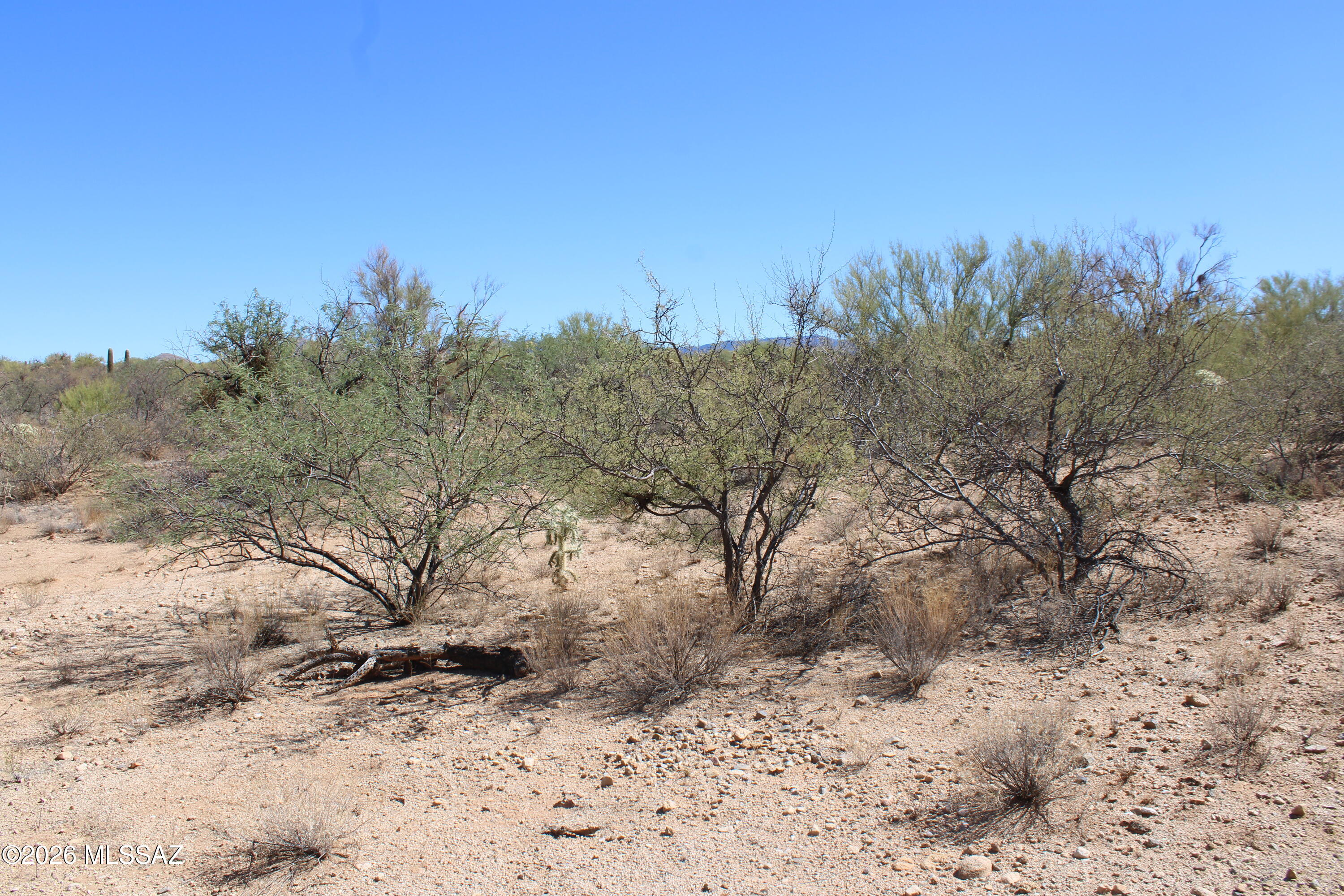 14223 South Shaw Road, Unit 330 Tucson, AZ 85736 - Photo 5 of 6