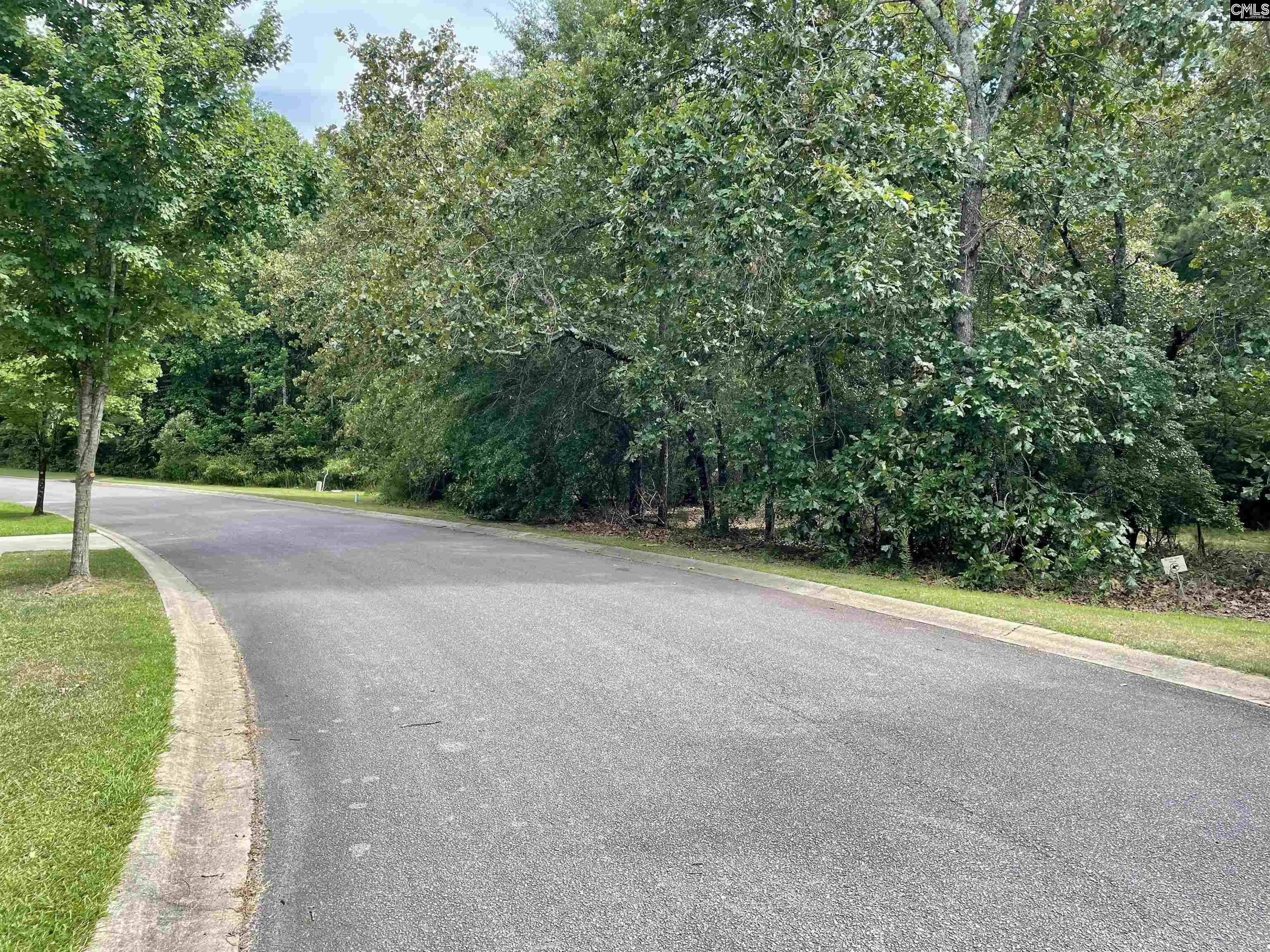 409 Upland Trail Road Elgin, SC 29045 - Photo 1 of 2