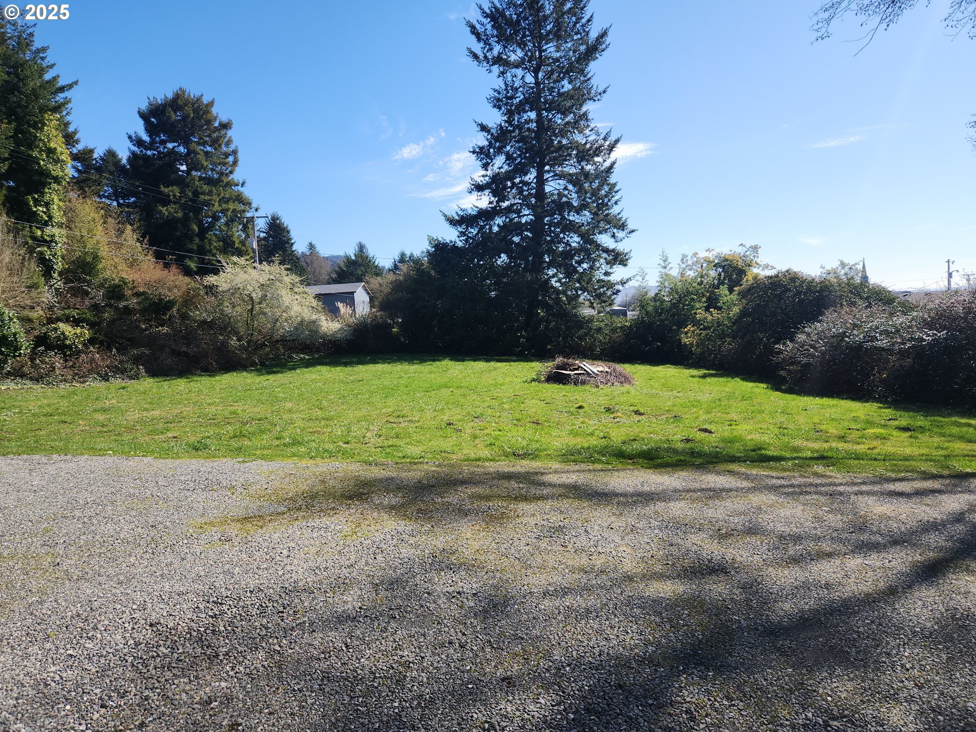 15819 Highway 101 Brookings, OR 97415 - Photo 4 of 44 Yard