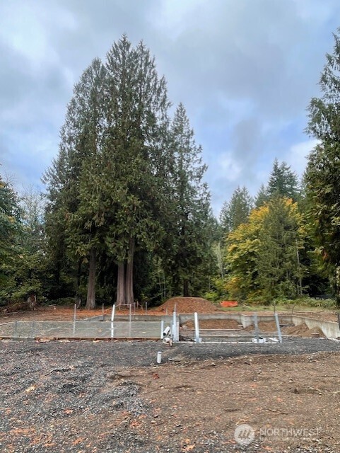 9801 Kelly Road Northeast Carnation, WA 98014 - Photo 33 of 34 Gallery Image 33