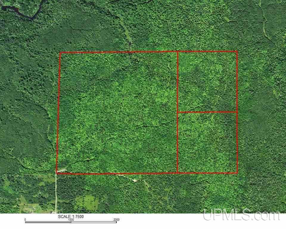 240-acres Leek Road Covington, MI 49919 - Photo 48 of 50