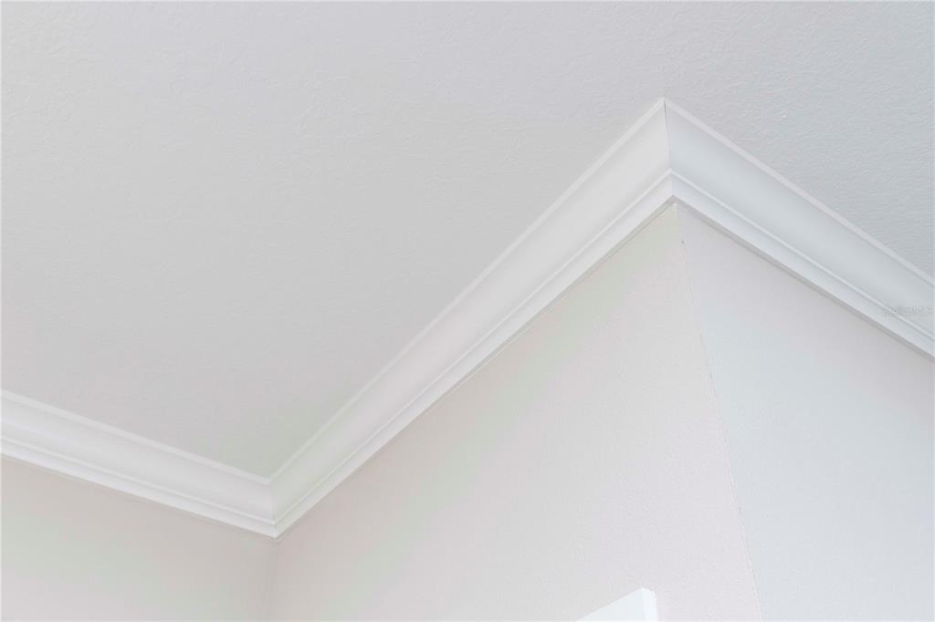 8585 Winning Fields Road New Port Richey, FL 34655 - Photo 24 of 64 Gallery Image 24