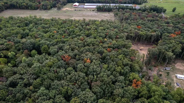 $120,000 | 0 Richland Lane, Grottoes, VA 24441