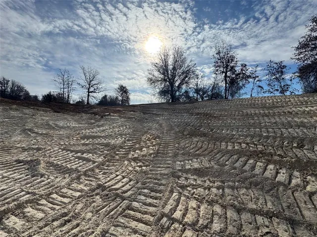 a view of a dry yard