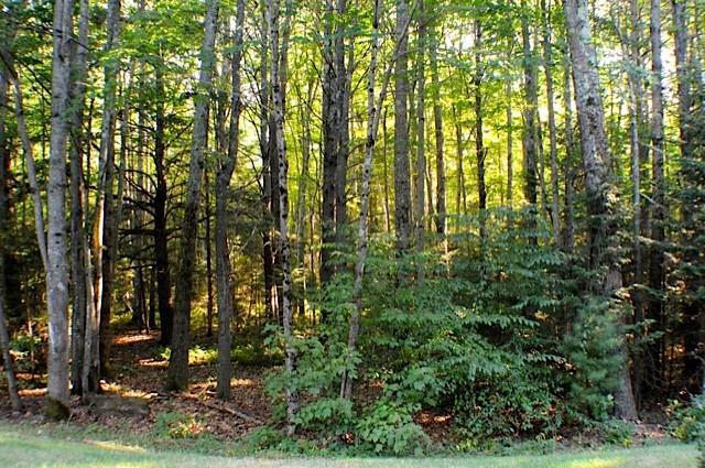 208 Flintlock Village Road, Unit 2 Wells, ME 04090 - Photo 35 of 35 Photo