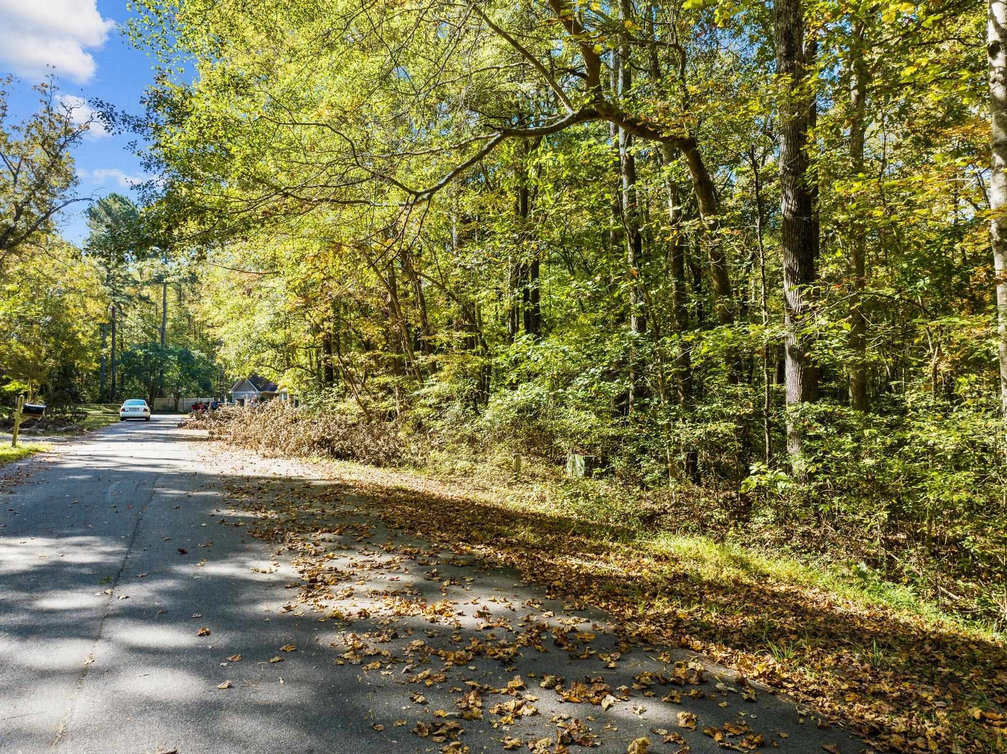 0 Quincy Downs Road Zebulon, NC 27597 - Photo 2 of 11 Photo 2