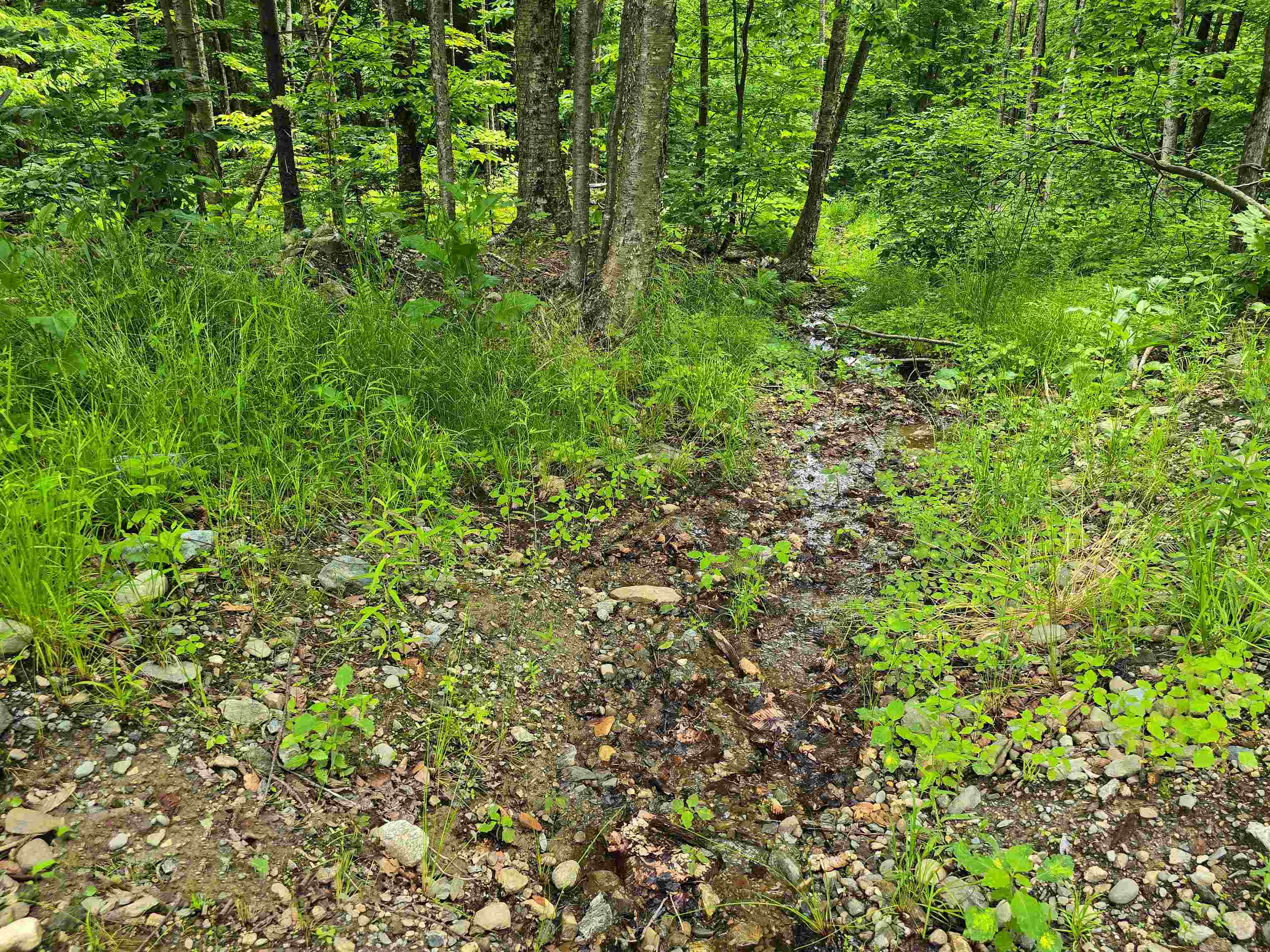 433 Wightman Hill Road Richford, VT 05476 - Photo 14 of 44