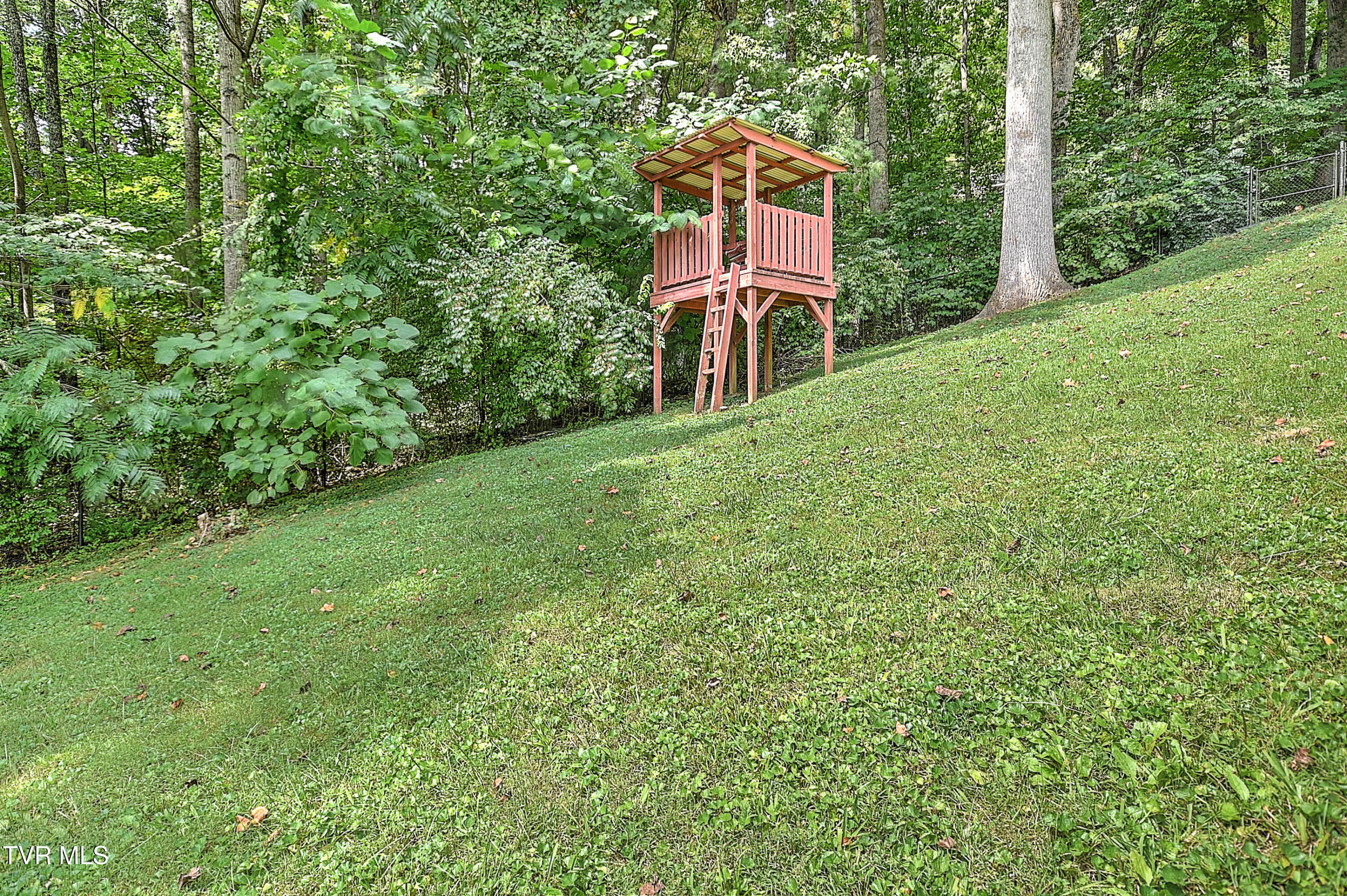 377 Carlton Road Bristol, TN 37620 - Photo 55 of 58 377 Carlton KB-63