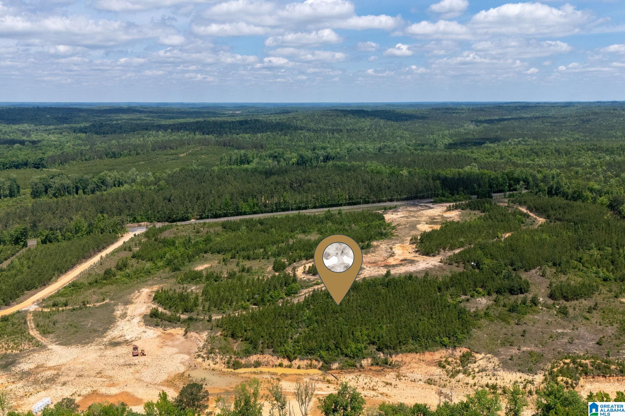 16 County Road Maplesville, AL 36750 - Photo 6 of 26