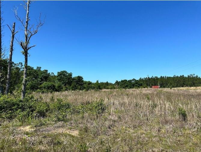 0 Panhandle Road Dequincy, LA 70633 - Photo 1 of 1 Gallery Image 1