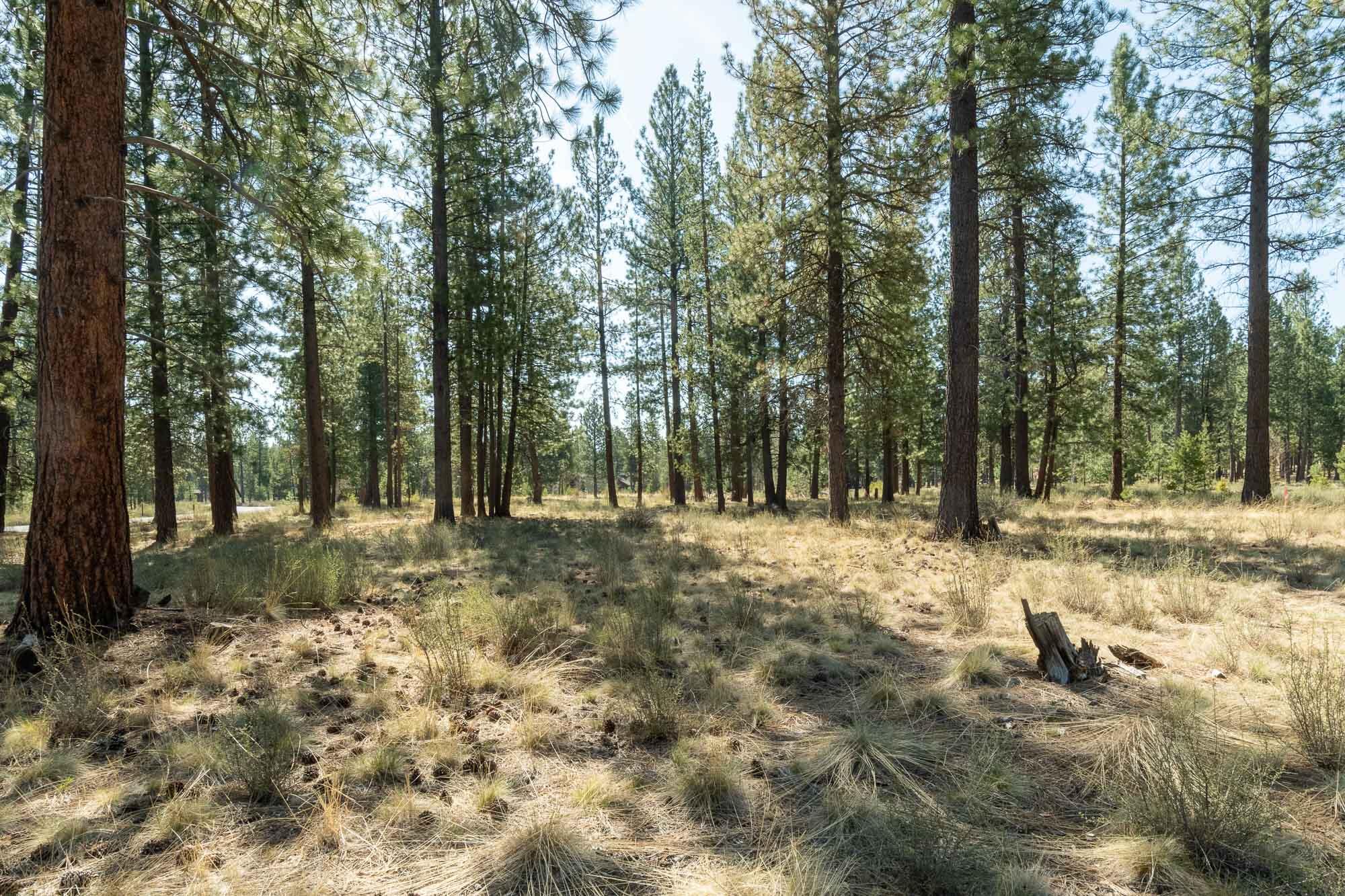 56436 Fireglass Loop Bend, OR 97707 - Photo 4 of 20 Central Oregon Beauty