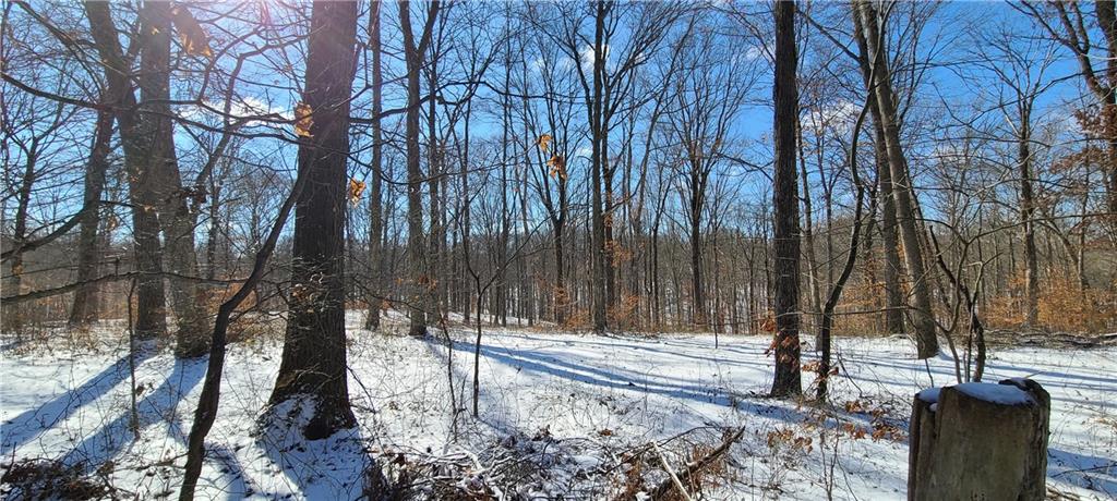 Tbd Grandview Road Columbus, IN 47201 - Photo 1 of 3