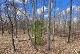 0 Pine Creek Road Hawley, PA 18428 - Photo 3 of 4