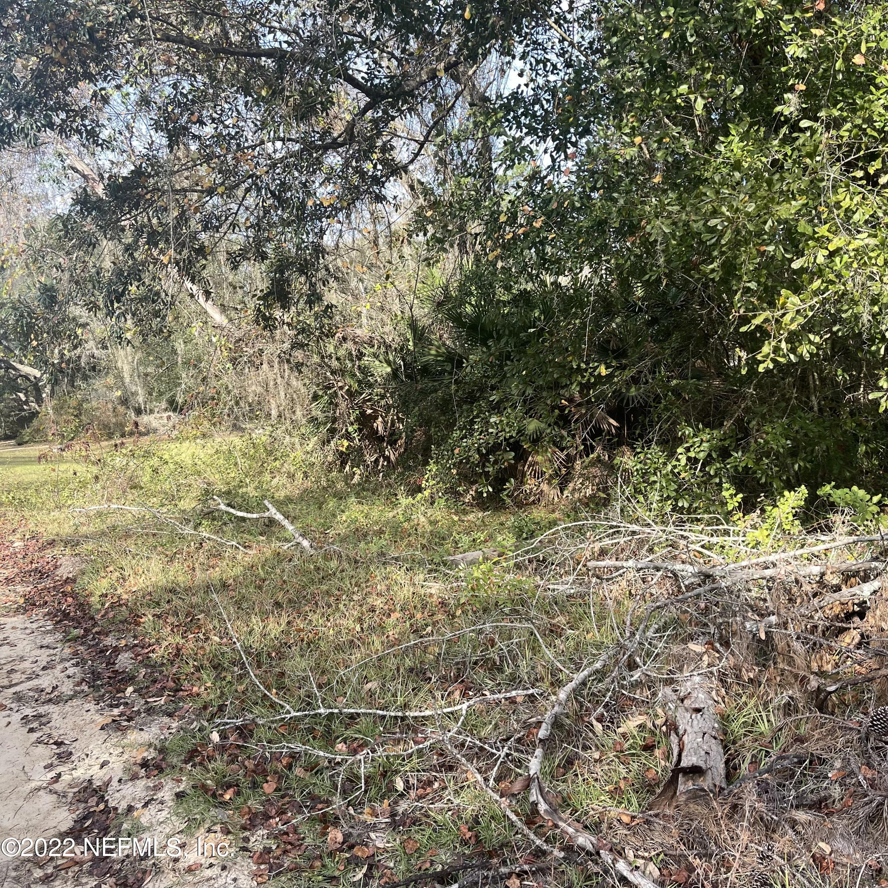 112 Allman Interlachen, FL 32148 - Photo 3 of 5 a view of a yard with a tree