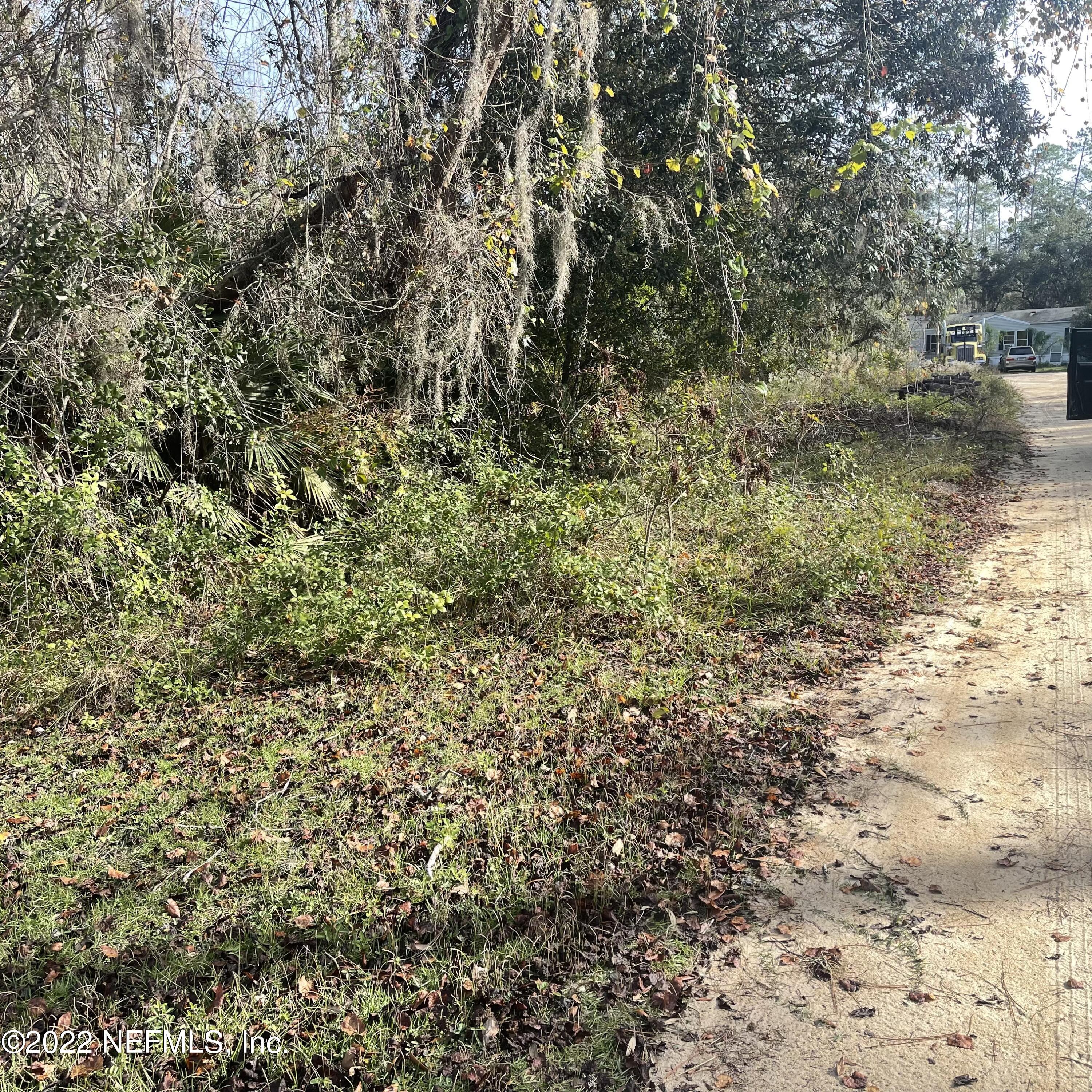 112 Allman Interlachen, FL 32148 - Photo 4 of 5 a view of a yard with large trees