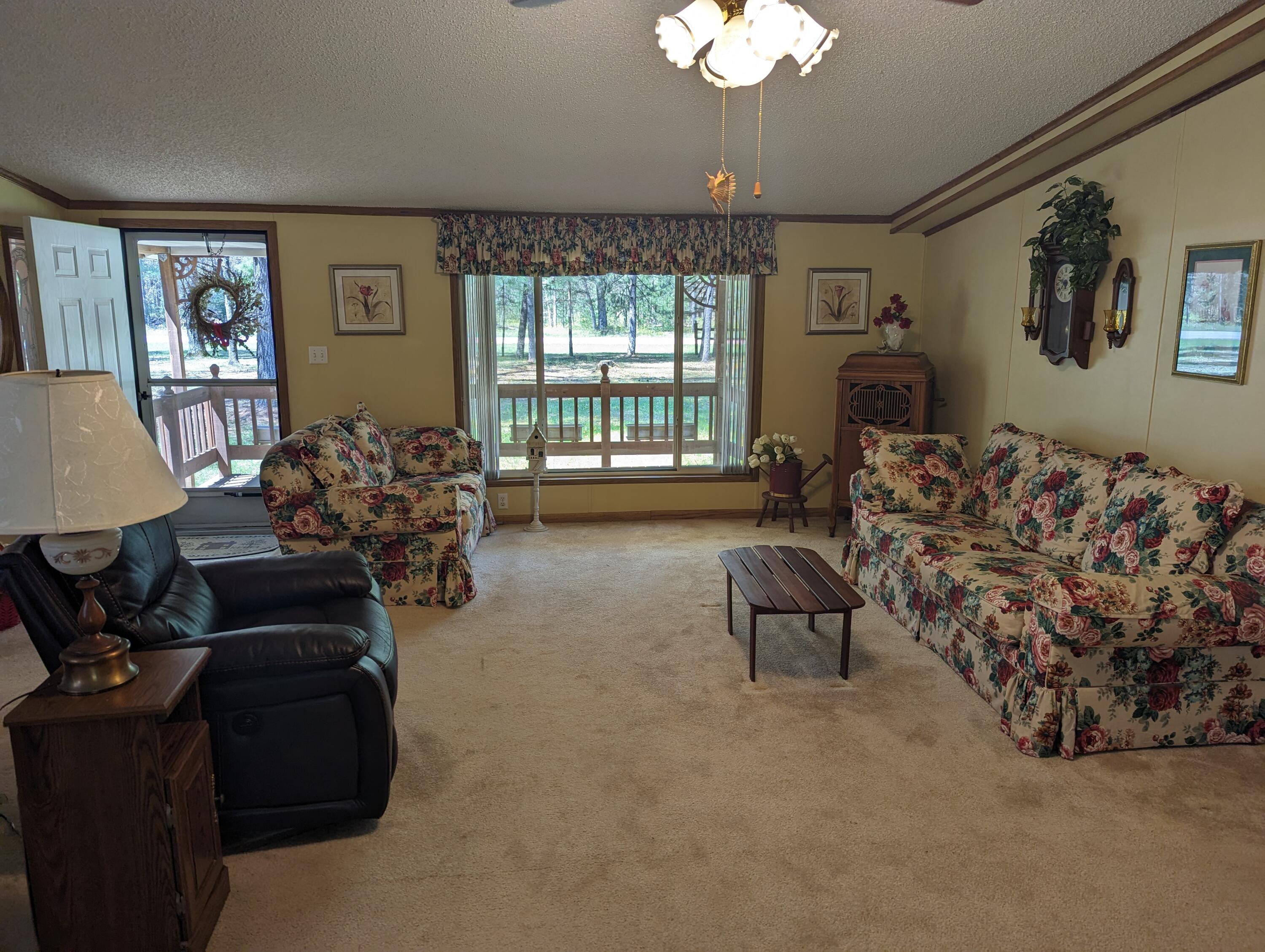 2204 South Forman Road Baldwin, MI 49304 - Photo 5 of 51 PXL_20230510_164018082