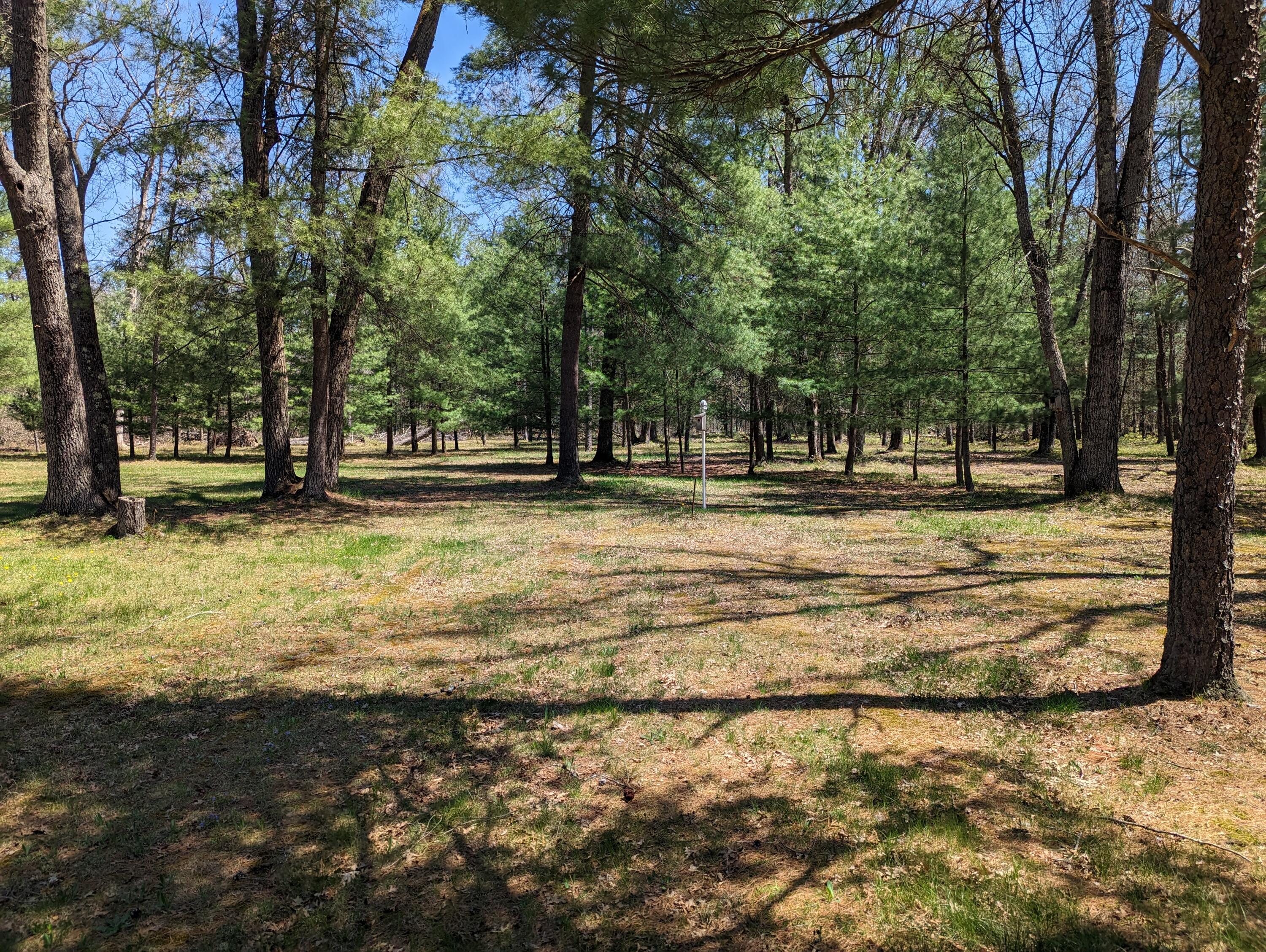 2204 South Forman Road Baldwin, MI 49304 - Photo 51 of 51 PXL_20230510_171008894