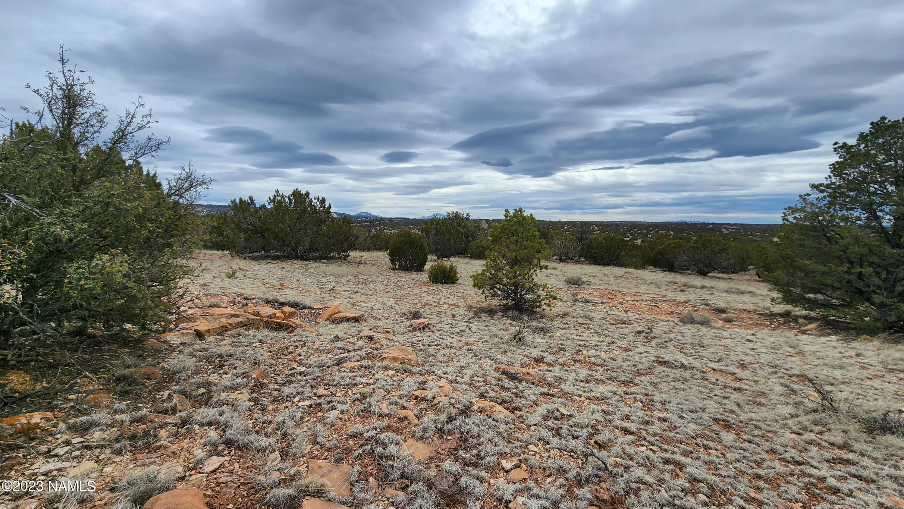 9401 Latigo Road, Unit 252 Williams, AZ 86046 - Photo 11 of 18 20230314_133244