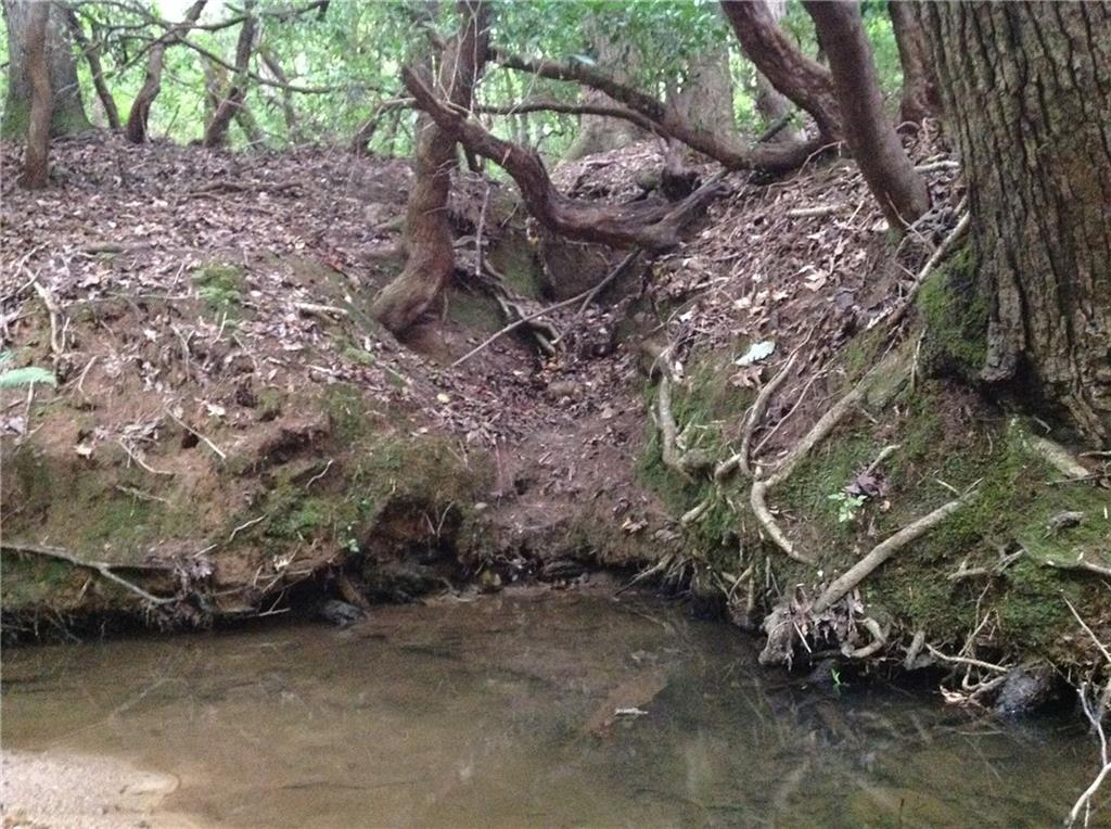 0 Osborne Road Flowery Branch, GA 30542 - Photo 11 of 19 a backyard of a house with lots of green space