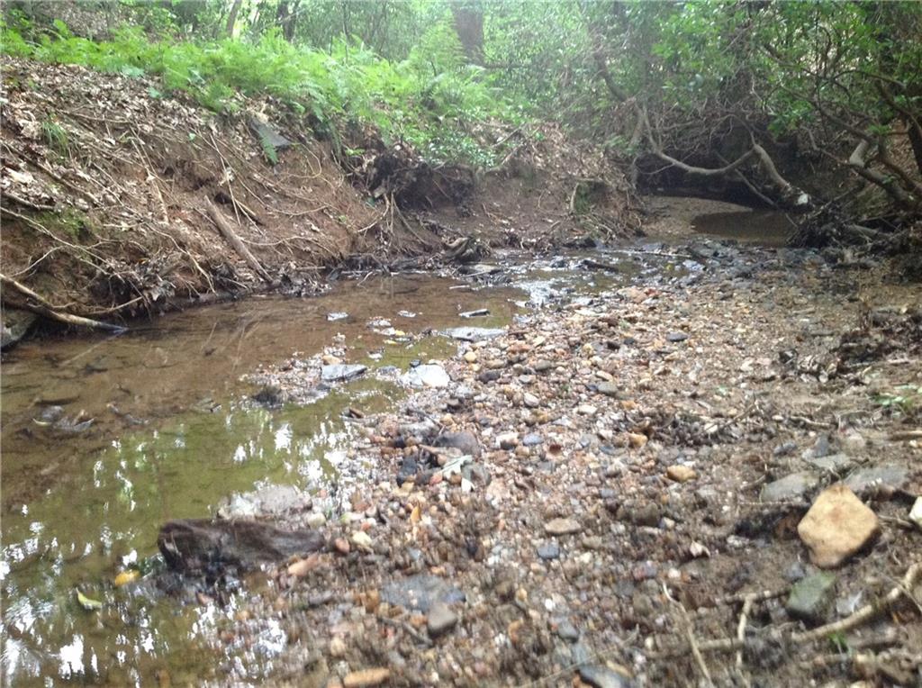 0 Osborne Road Flowery Branch, GA 30542 - Photo 12 of 19 a backyard of a house with lots of green space