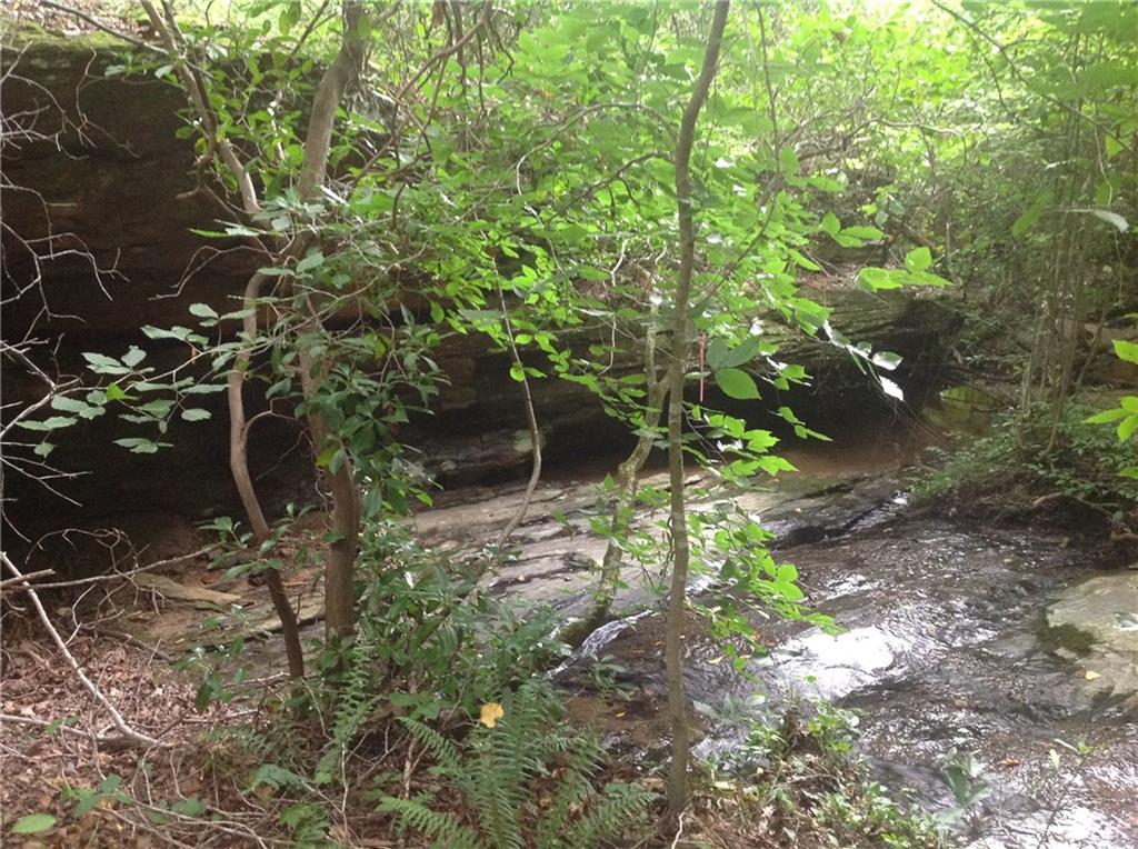 0 Osborne Road Flowery Branch, GA 30542 - Photo 13 of 19 a backyard of a house