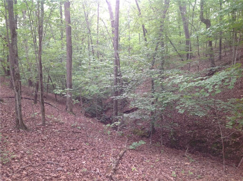 0 Osborne Road Flowery Branch, GA 30542 - Photo 15 of 19 a view of a forest that has large trees