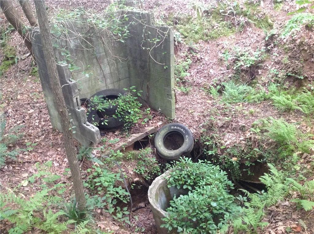 0 Osborne Road Flowery Branch, GA 30542 - Photo 19 of 19 a backyard of a house with lots of green space